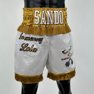 Classic BX old HECTOR 139489 Custom Boxing Shorts & Trunks
