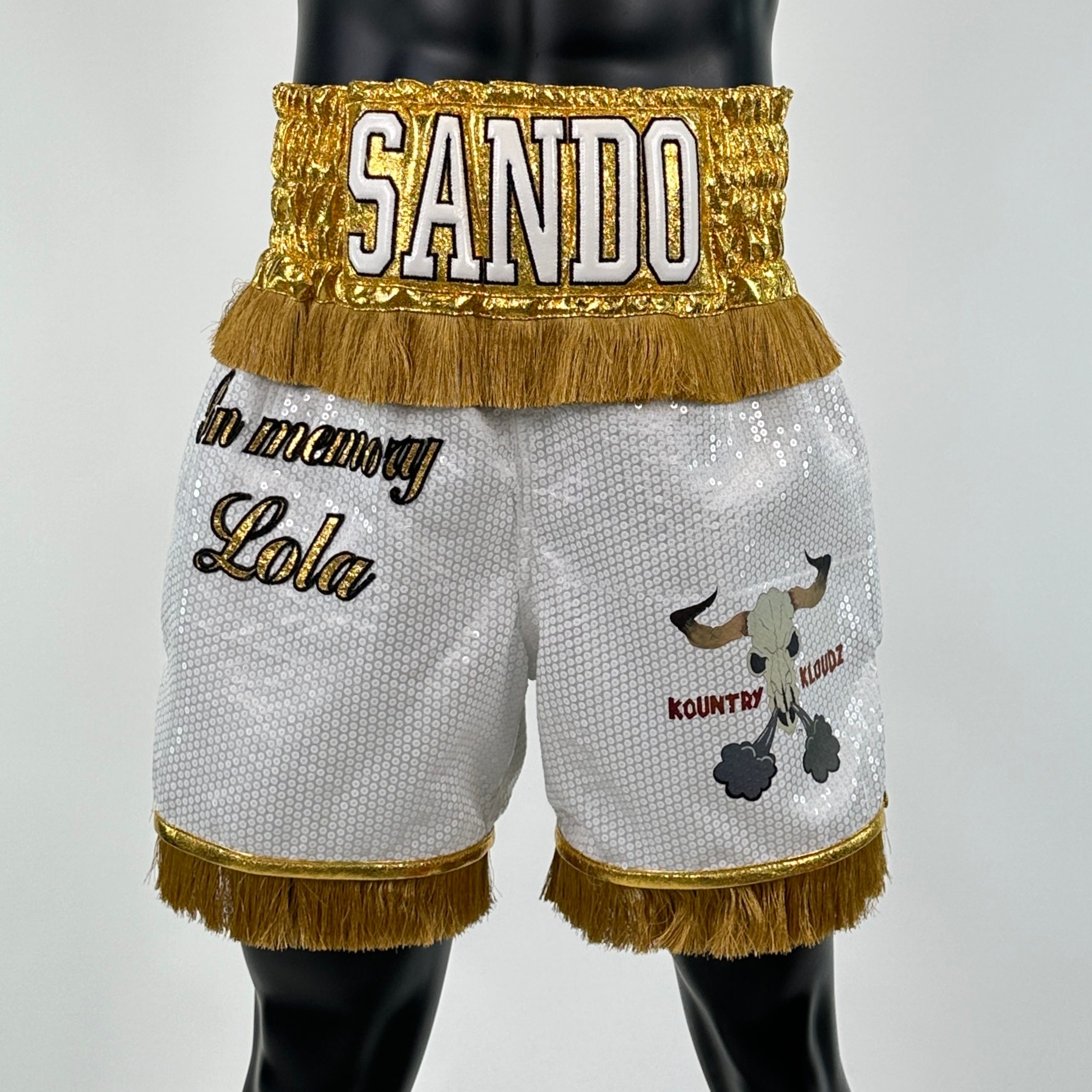 Classic BX Old HECTOR 139489 Custom Boxing Shorts & Trunks