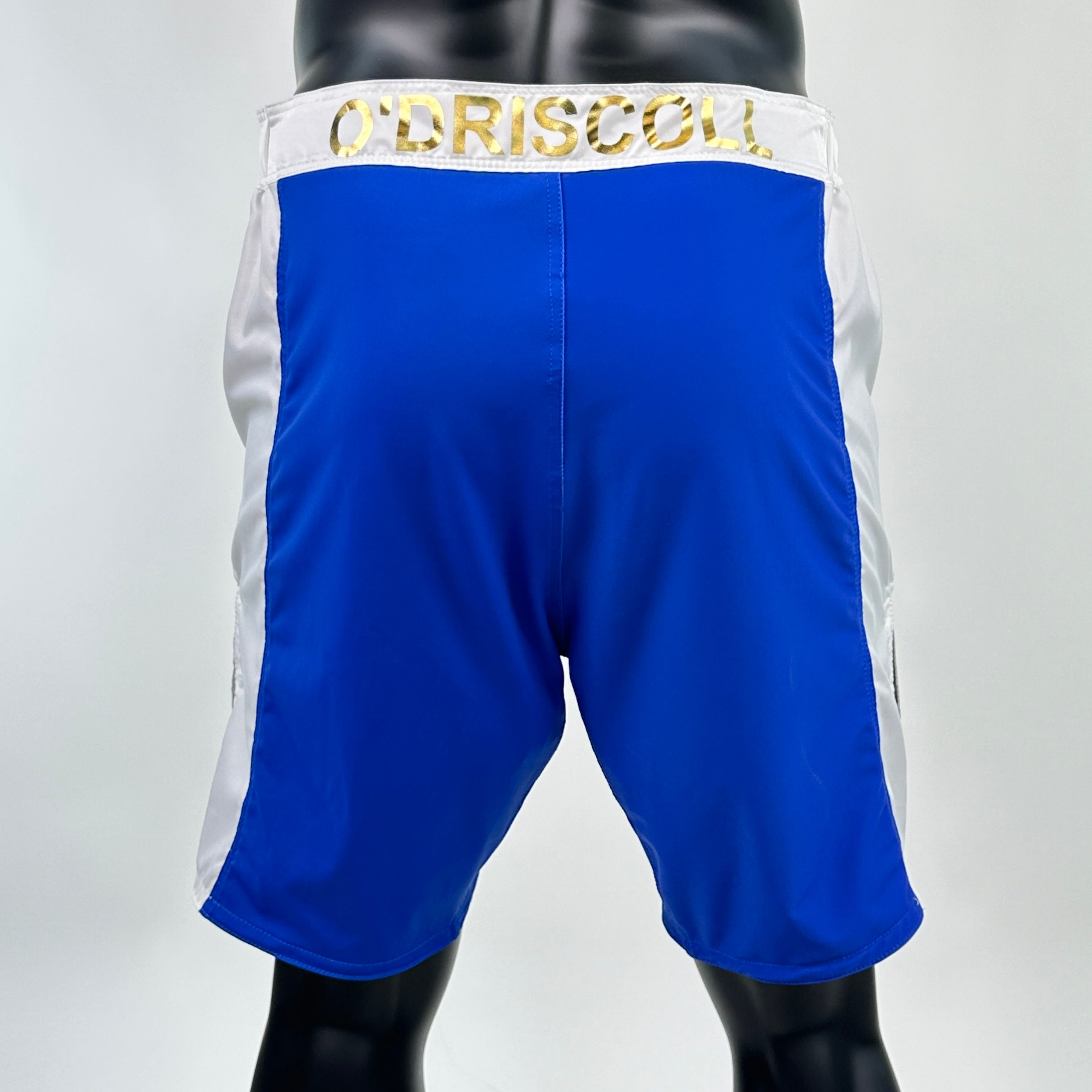 Sidestripe MMA Paul 136048 MMA Shorts