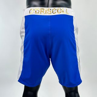 Sidestripe MMA Paul 136048 MMA Shorts