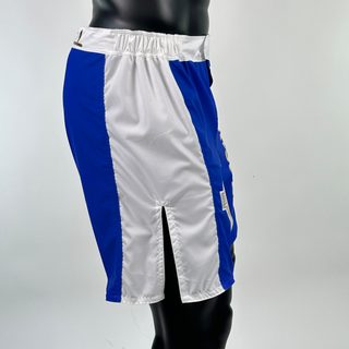 Sidestripe MMA Paul 136048 MMA Shorts