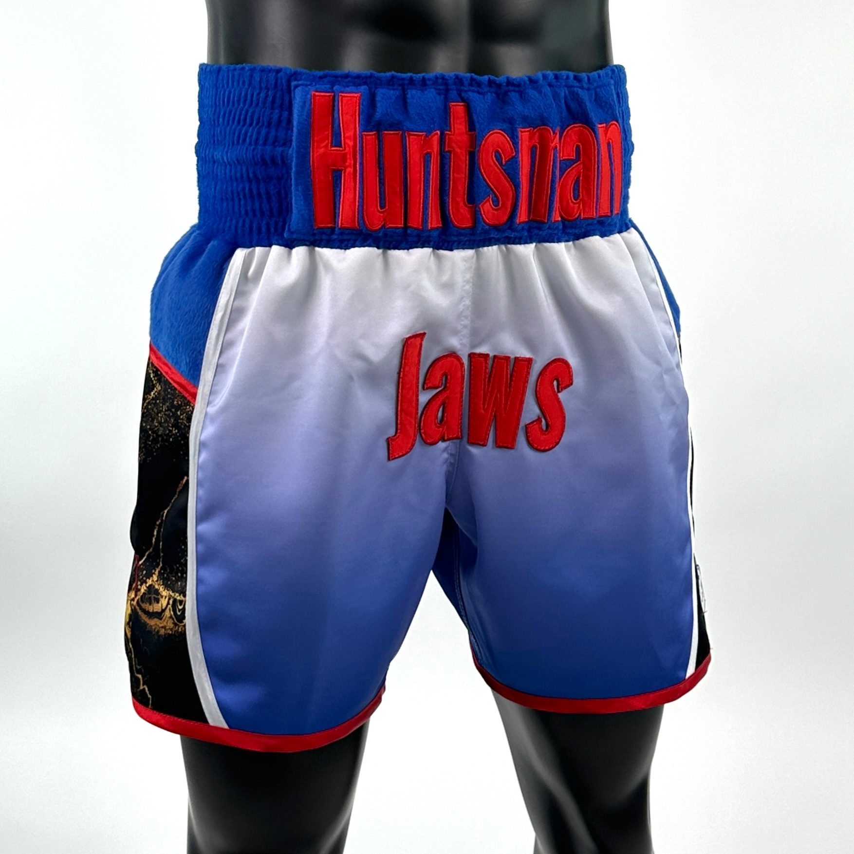 Ronin BX old James 141470 Custom Boxing Shorts & Trunks