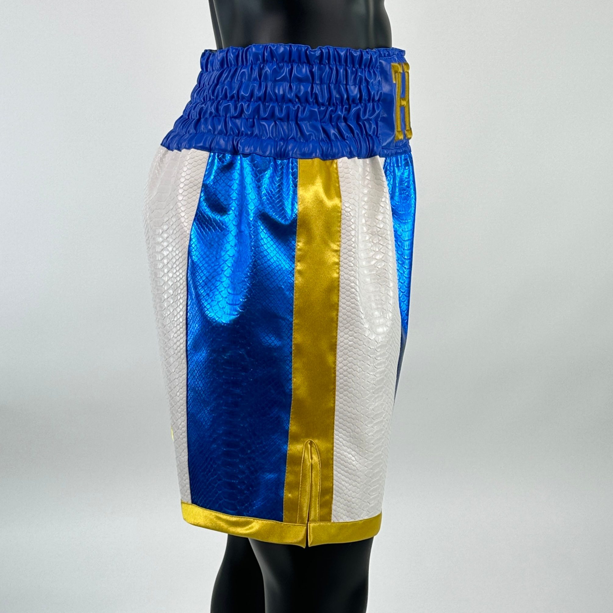 All Mayweather BX Maxwell 141837 Custom Boxing Shorts & Trunks