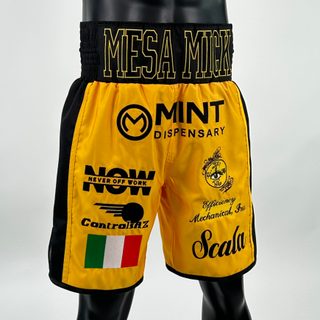Side Stripe BX  Micky 142509 Custom Boxing Shorts & Trunks