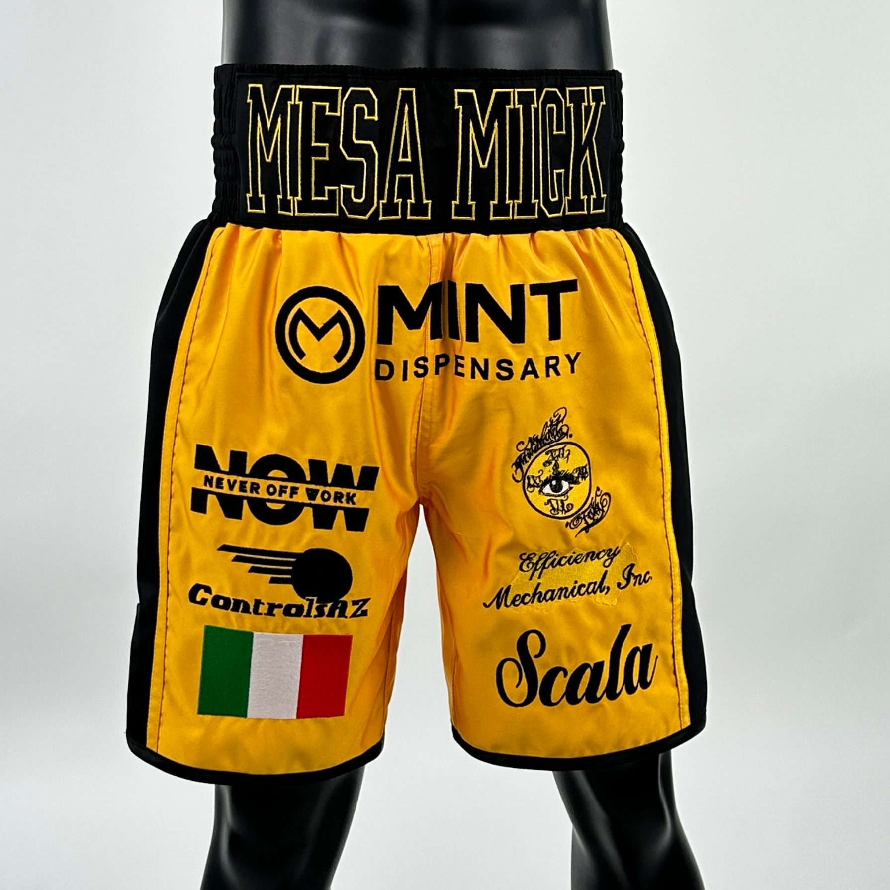 Side Stripe BX  Micky 142509 Custom Boxing Shorts & Trunks
