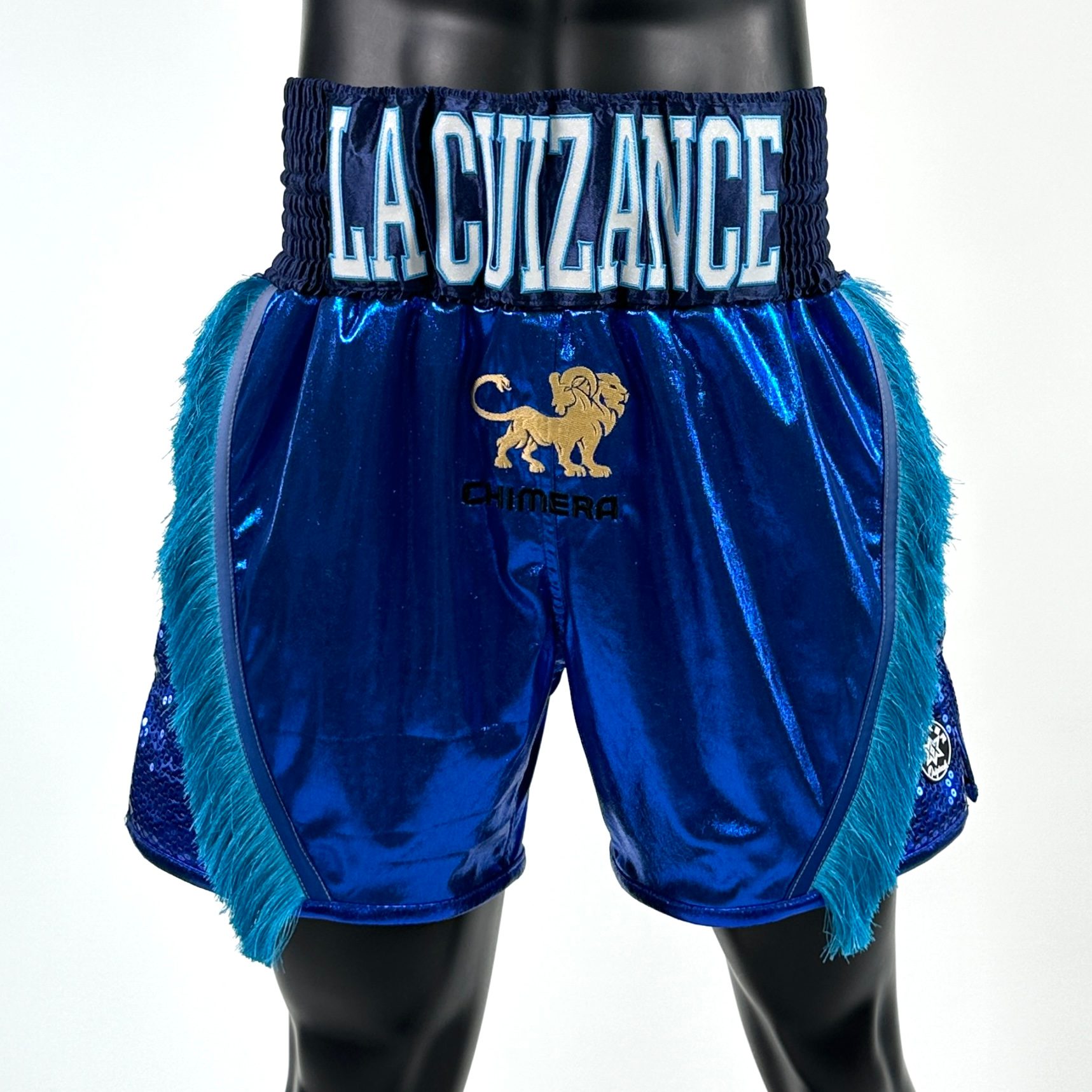 Floyd BX Stephane 141780 Custom Boxing Shorts & Trunks