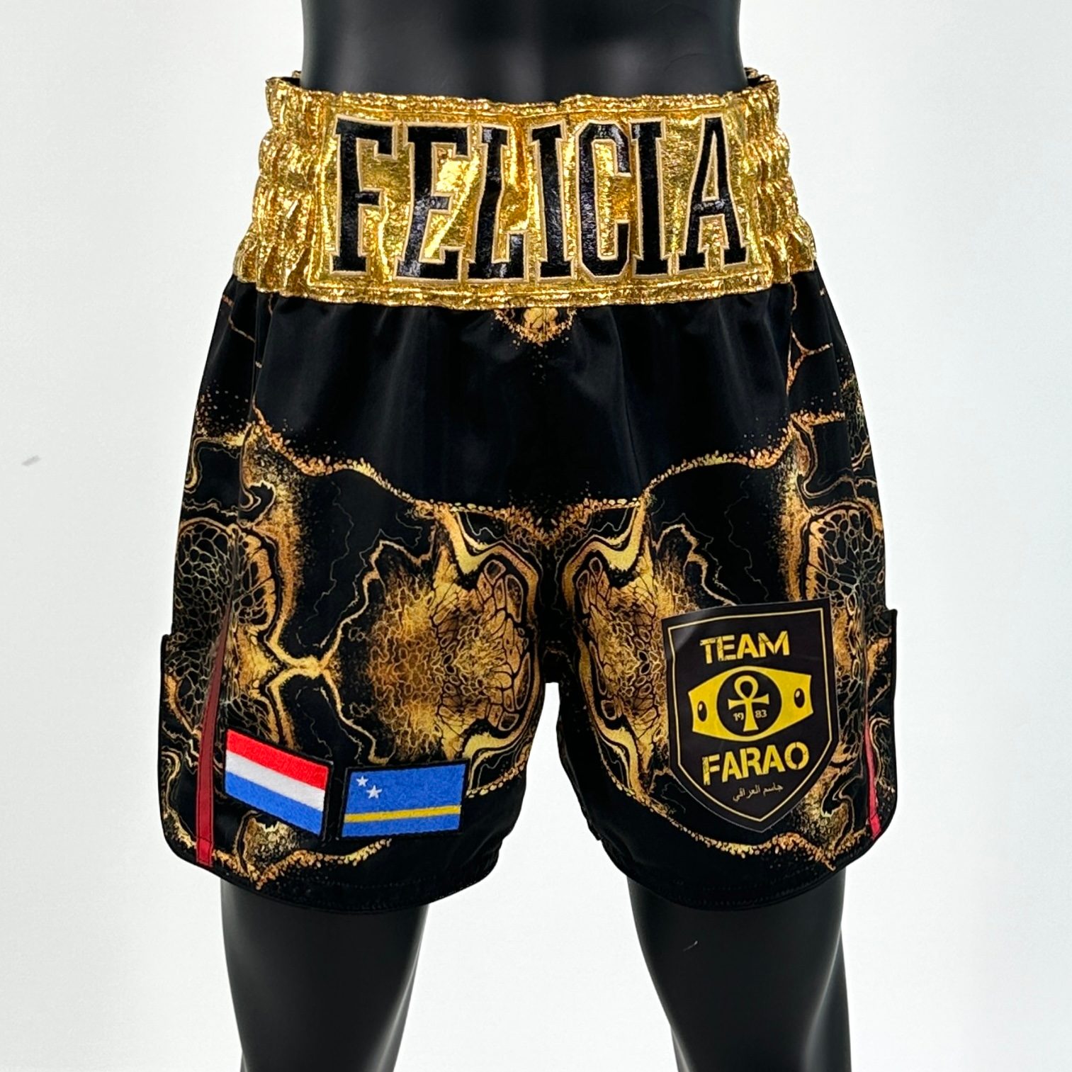 Side Stripe MTS Felicia 143917 WOMENS Muay Thai Shorts