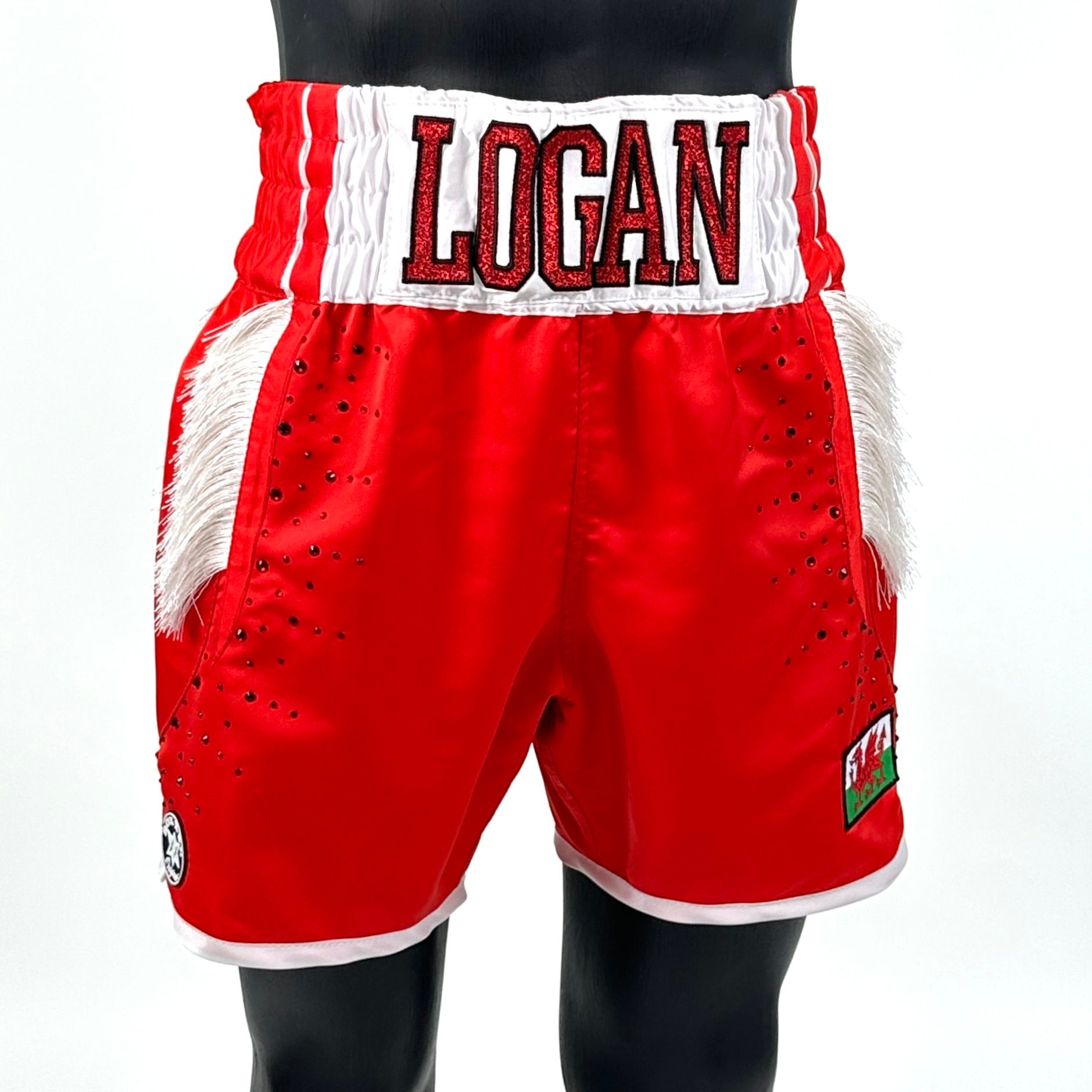 USYK TRIBUTE BX Old Sarah 145877 Custom Boxing Shorts & Trunks