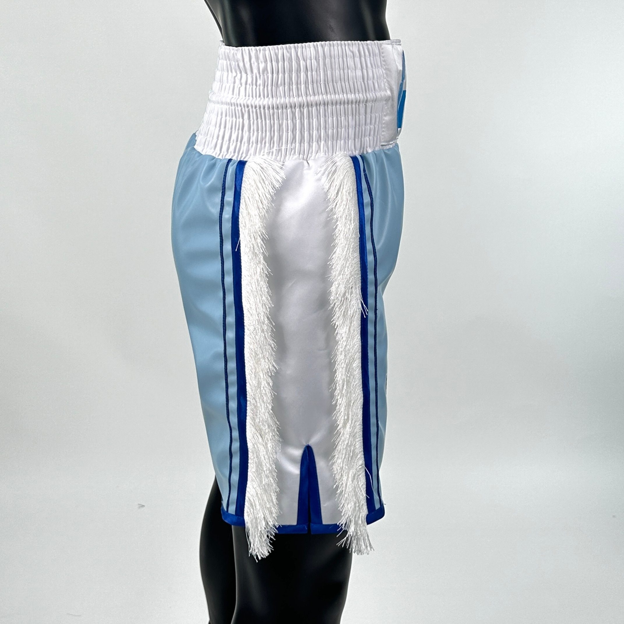 Side Stripe Luxury II Martian 146449 Custom Boxing Shorts & Trunks