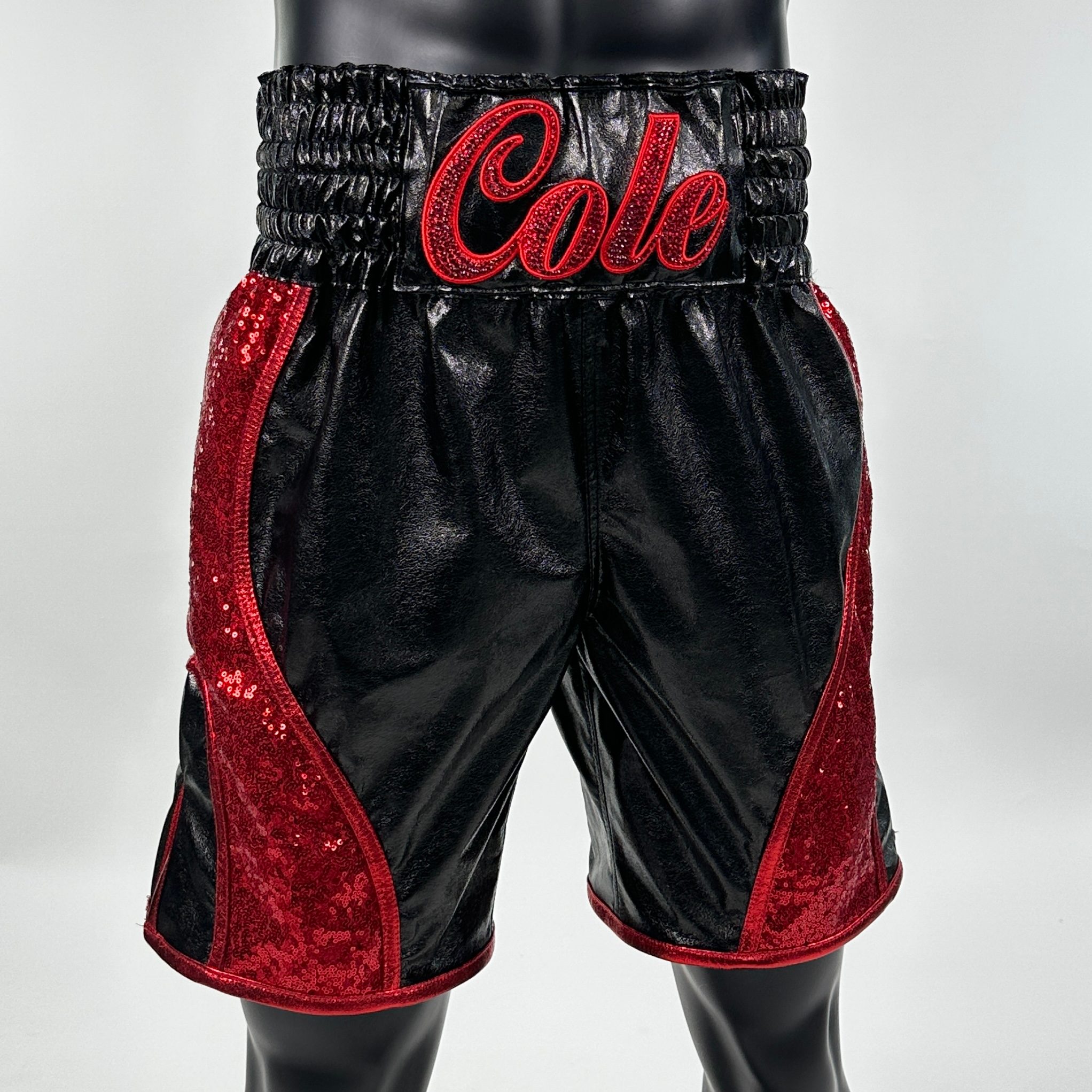 Dream BX Paige 145730 Custom Boxing Shorts & Trunks