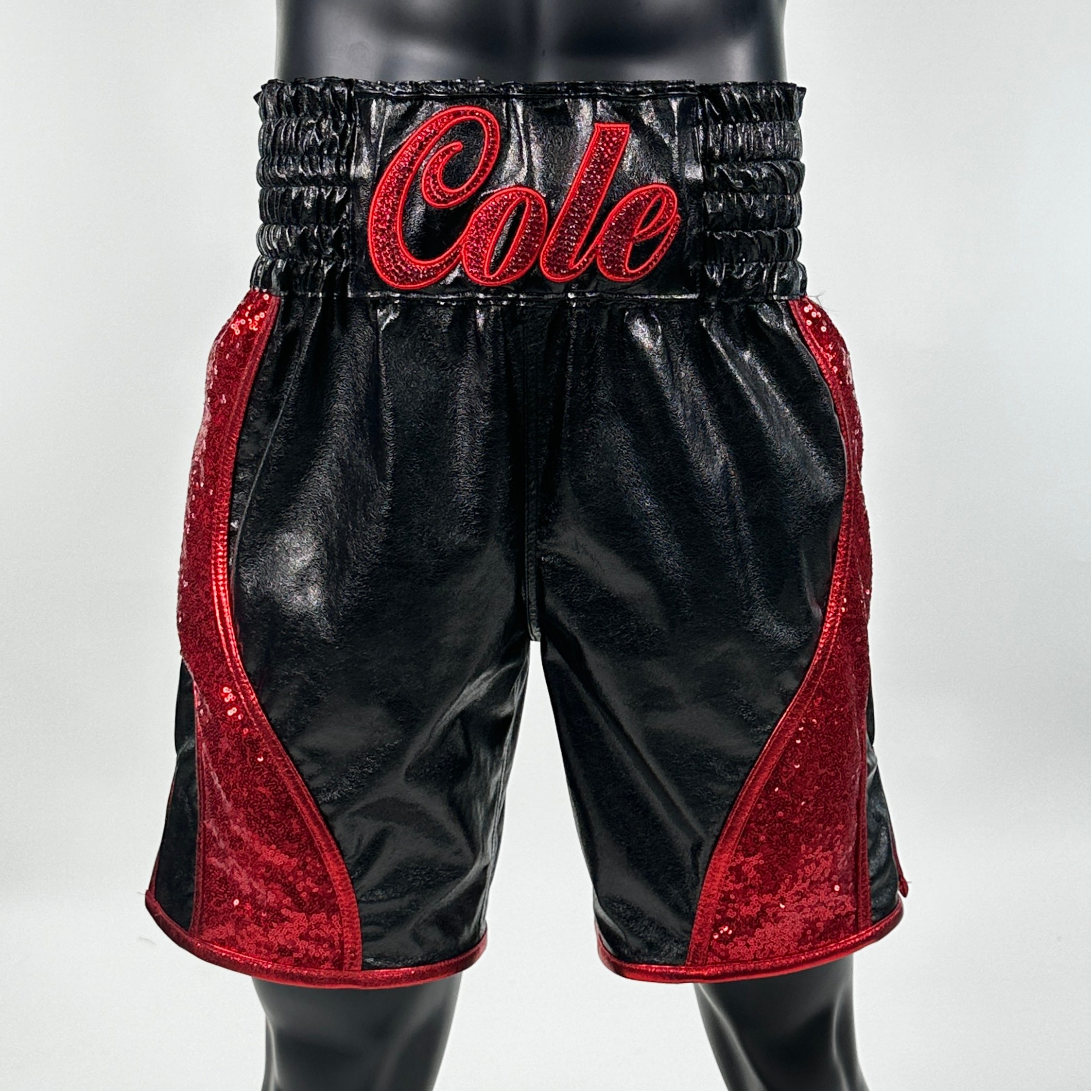 Dream BX Paige 145730 Custom Boxing Shorts & Trunks