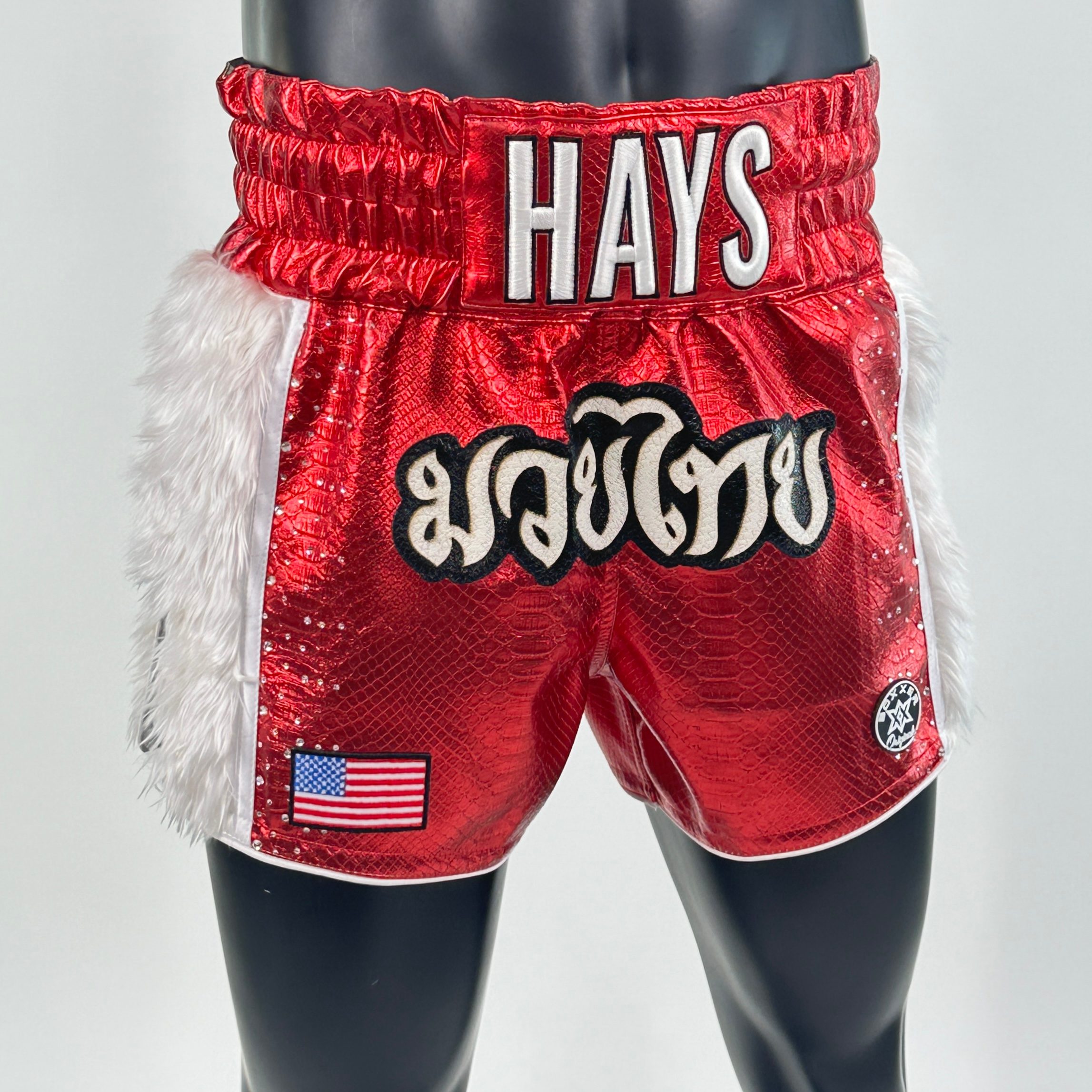 Side Stripe MTS 149800 Robert Muay Thai Shorts