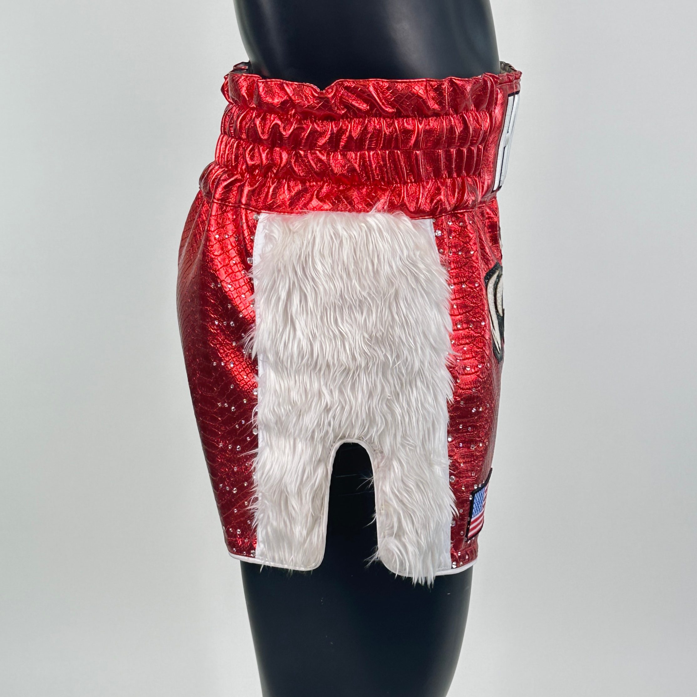 Side Stripe MTS 149800 Robert Muay Thai Shorts