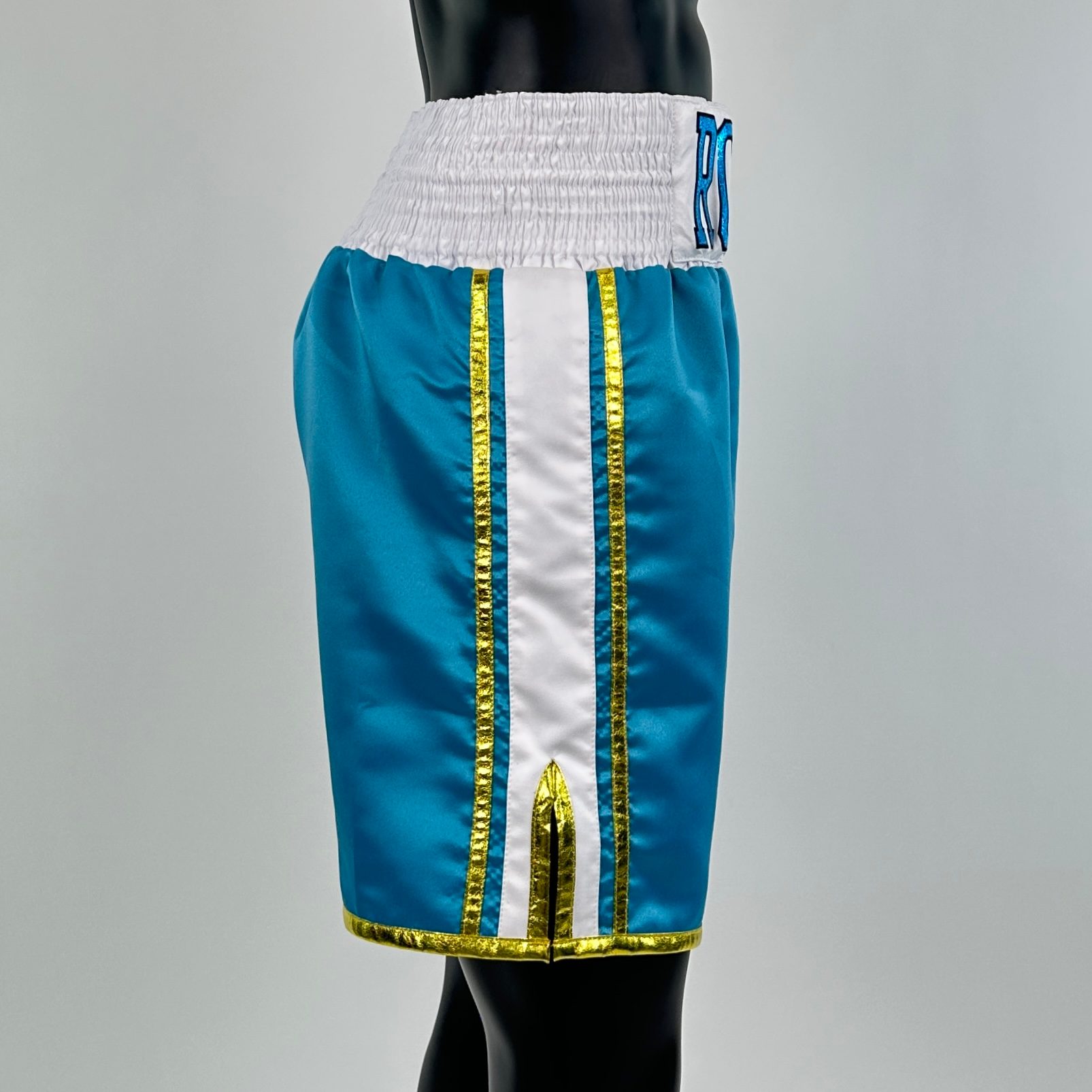 WINNER BX Flavius 149946 Custom Equipment