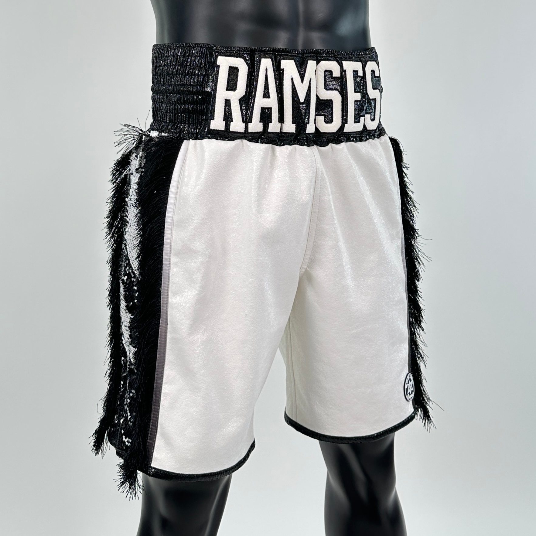 Side Stripe BX  Christopher 150331 Custom Boxing Shorts & Trunks