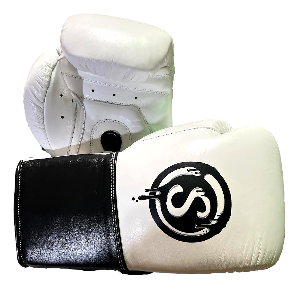 Gloves Laced / Flat Old Jordon 150000 Boxing Gloves