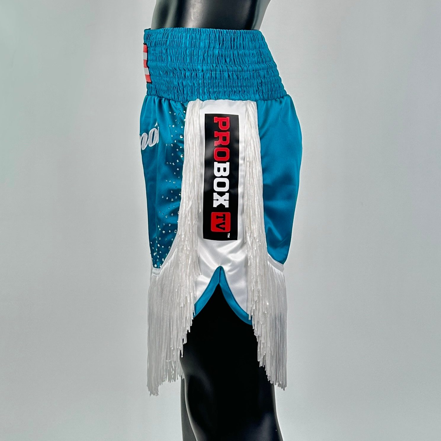 Lorenzo BX  Marques 150774  Custom Boxing Shorts & Trunks