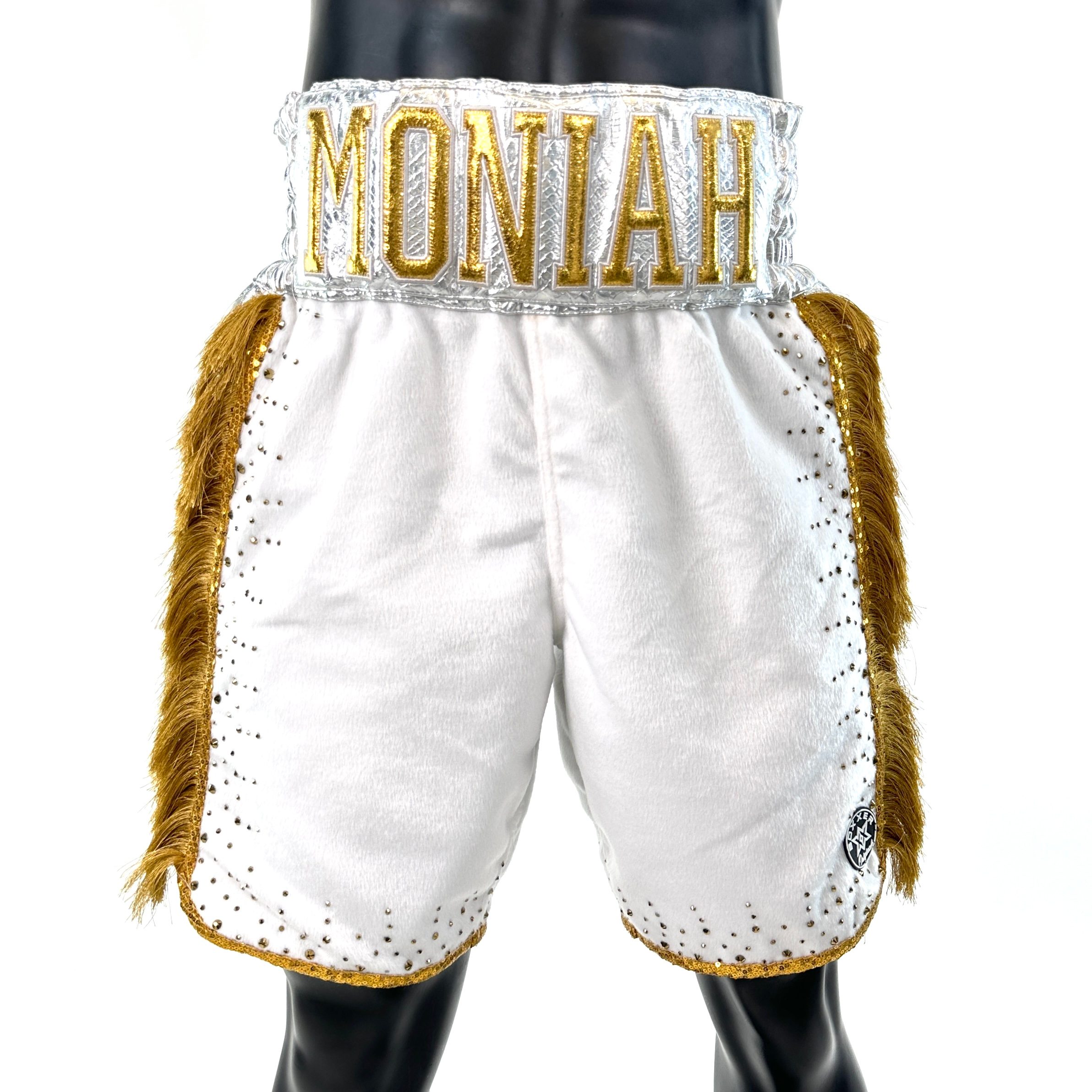 Side Stripe BX  Monir 151074 Custom Boxing Shorts & Trunks