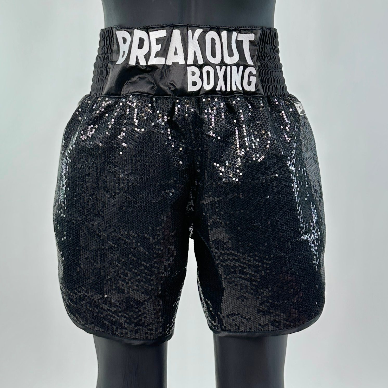 Classic BX Old ant m 151155 Custom Boxing Shorts & Trunks