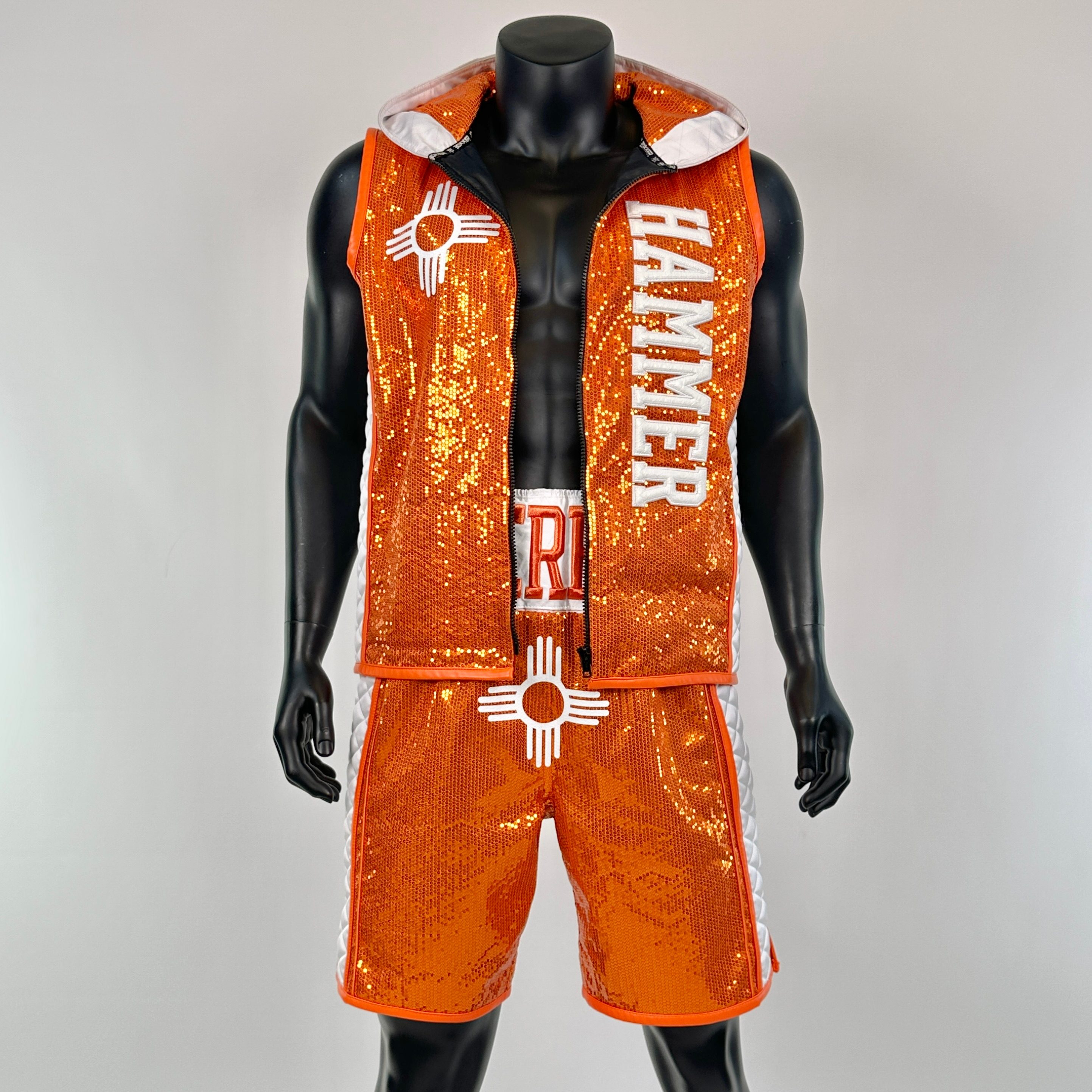 Side Stripe Luxury II Aaron 151510 Custom Boxing Shorts & Trunks