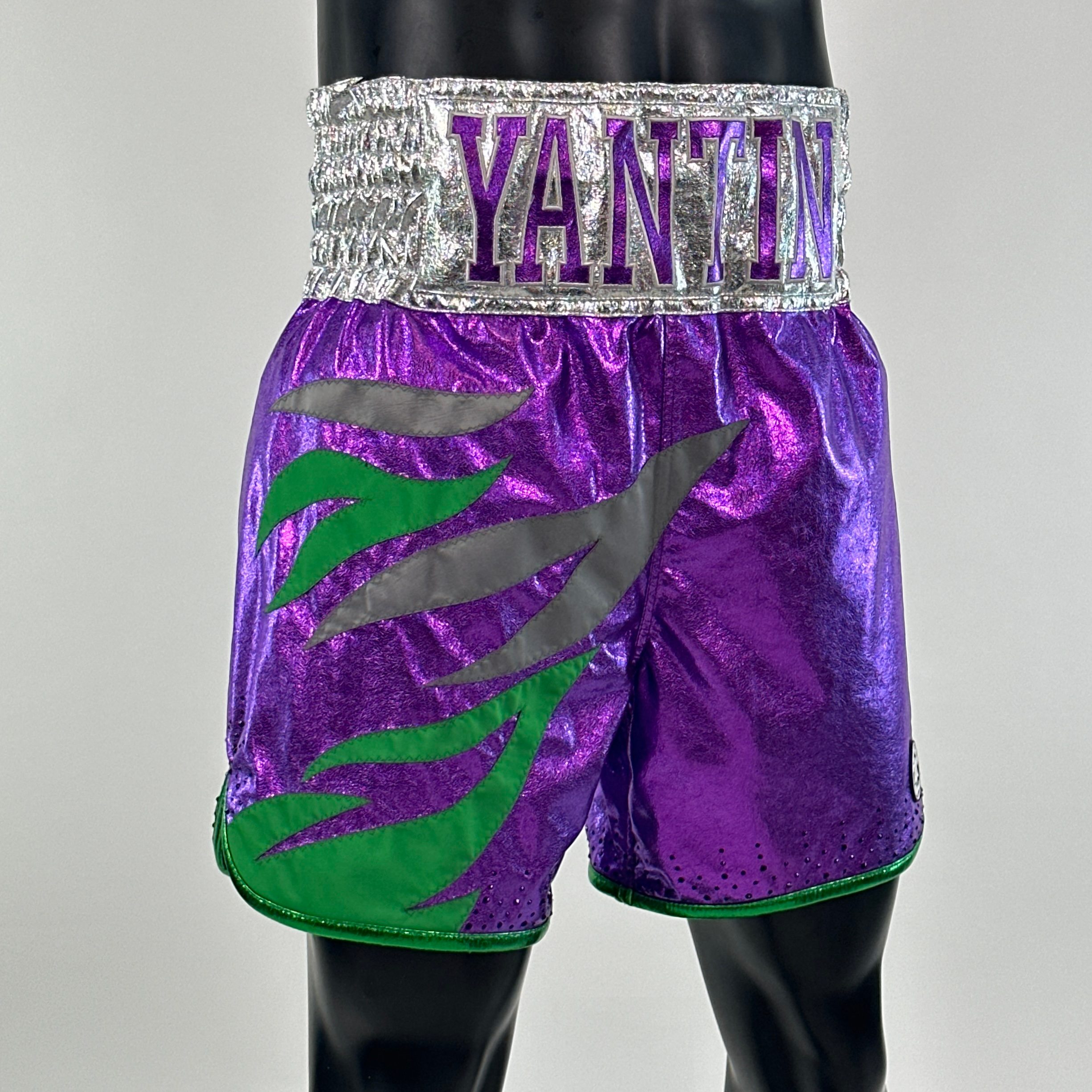 Roy Jones BX Paul 154817 Custom Boxing Shorts & Trunks