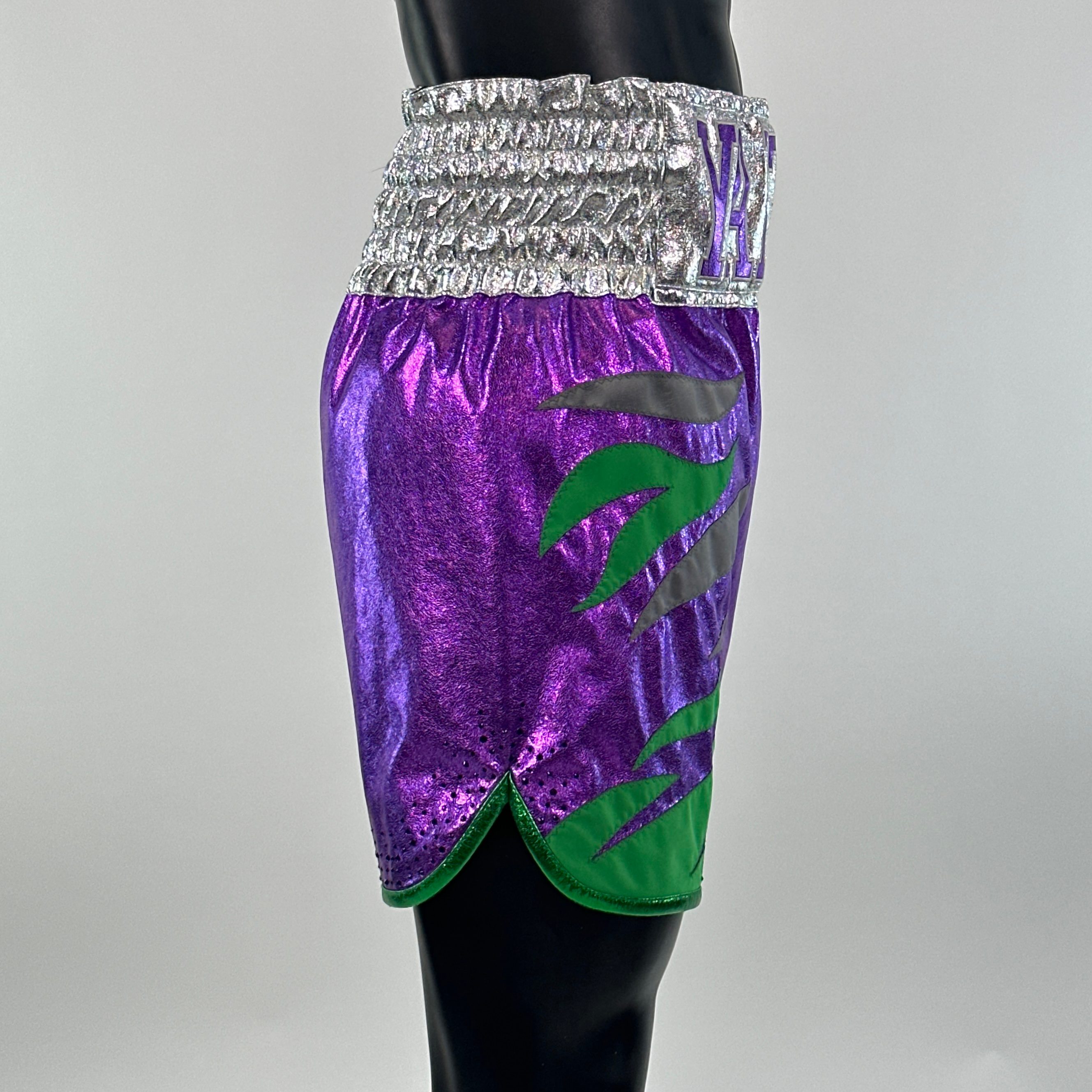 Roy Jones BX Paul 154817 Custom Boxing Shorts & Trunks