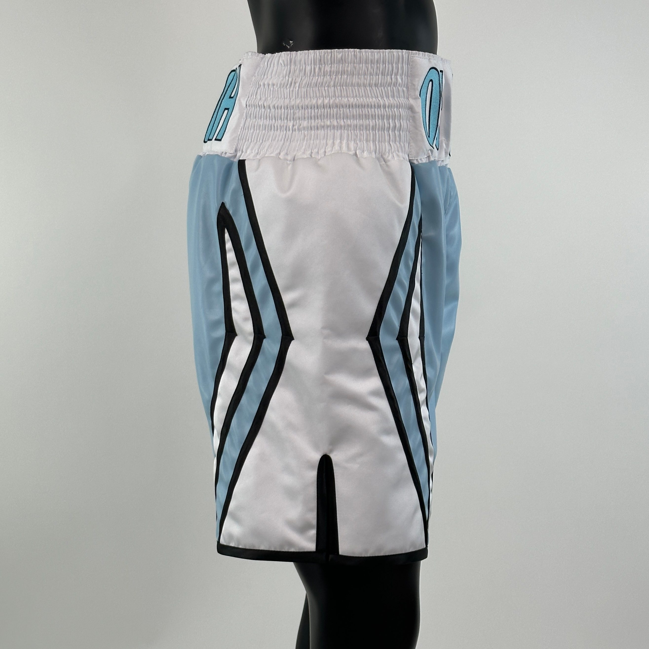 CHAMPION BX Harry 154565 Custom Boxing Shorts & Trunks