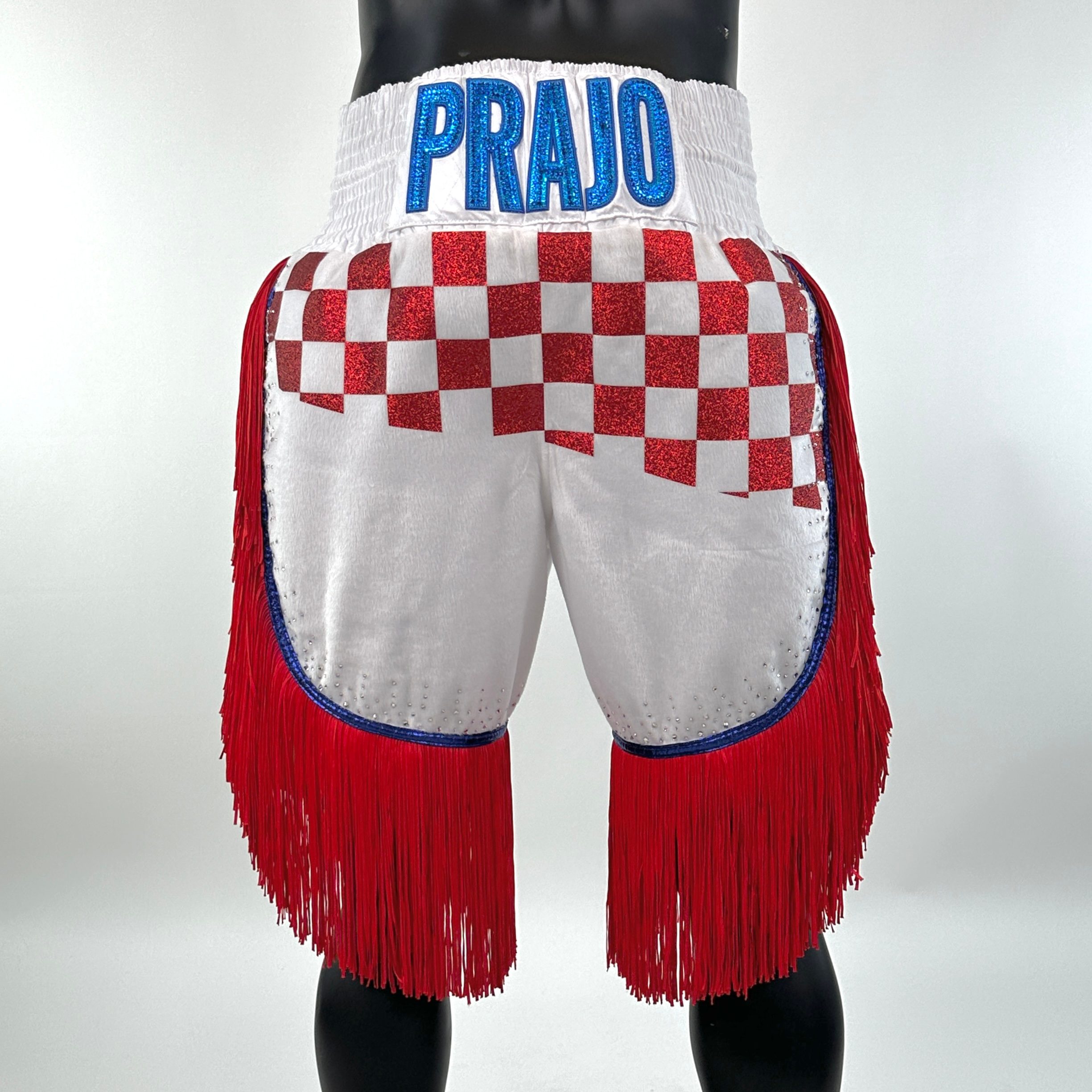 Lorenzo BX Nikola 156752 Custom Boxing Shorts & Trunks