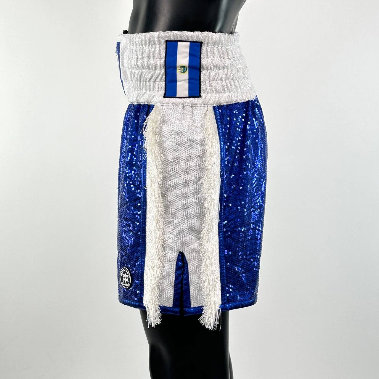 Side Stripe BX  June 158743 Custom Boxing Shorts & Trunks