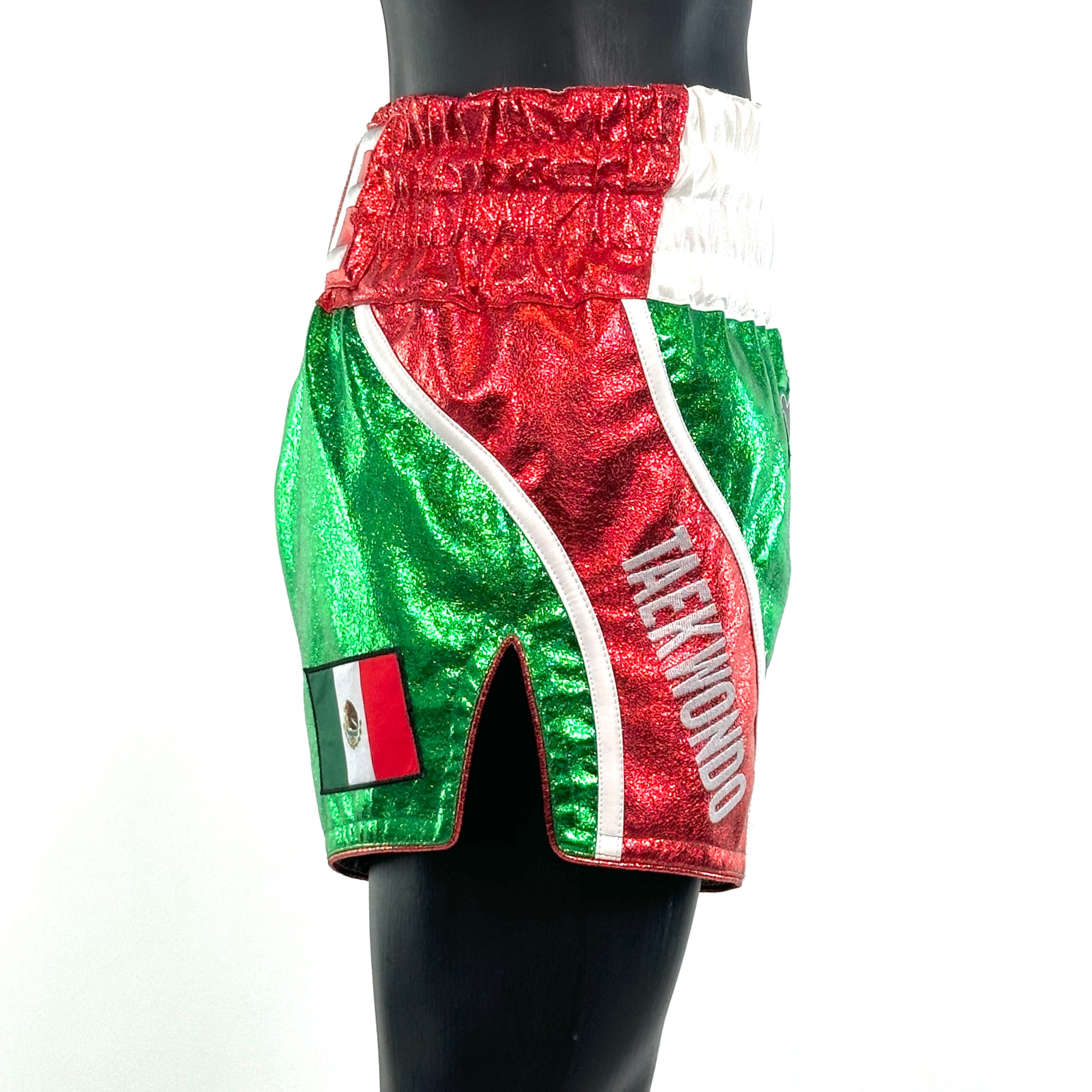 Flow MTS Rene 159325 Muay Thai Shorts
