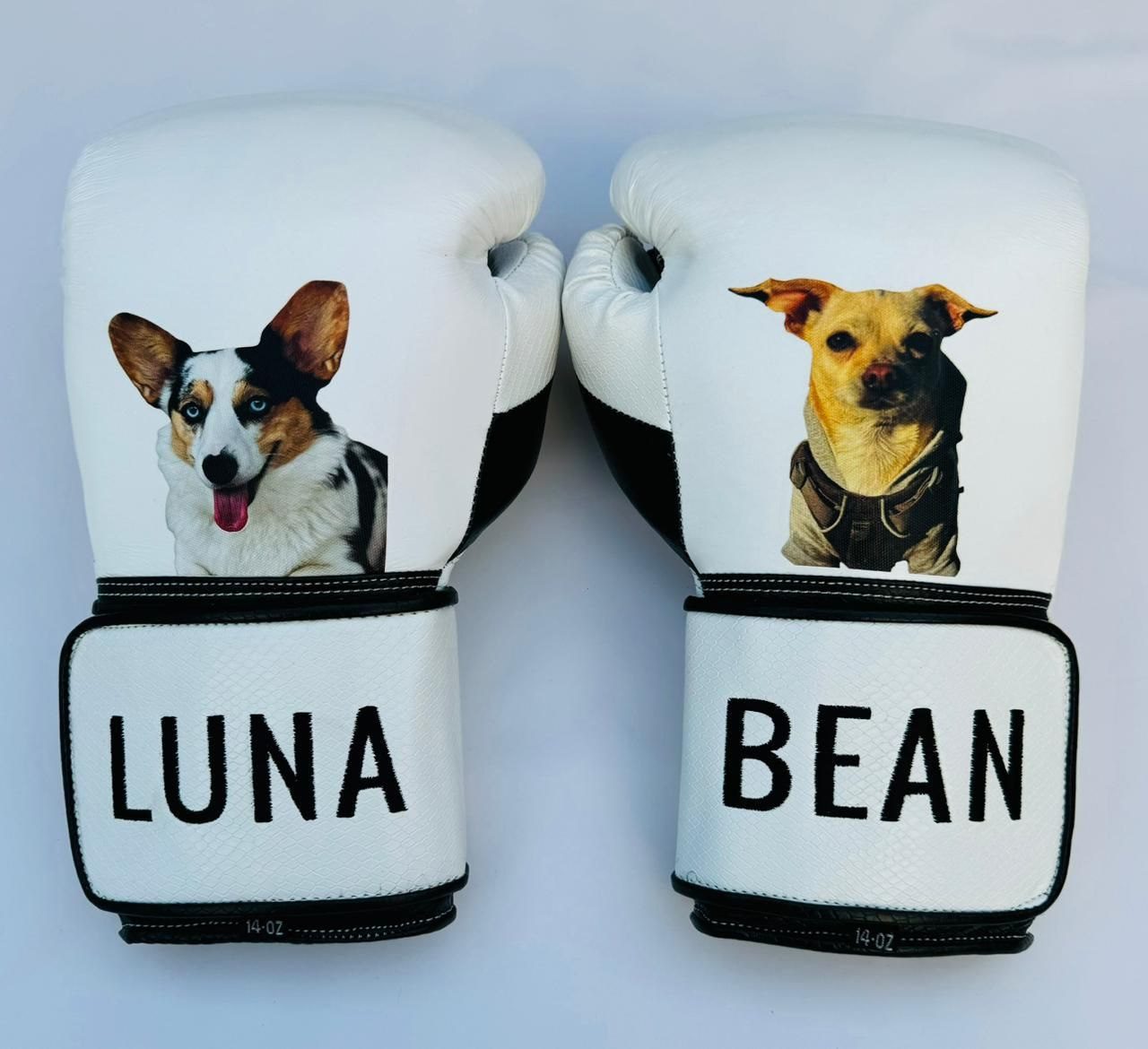 Gloves Classics Starr 155394 Custom Equipment