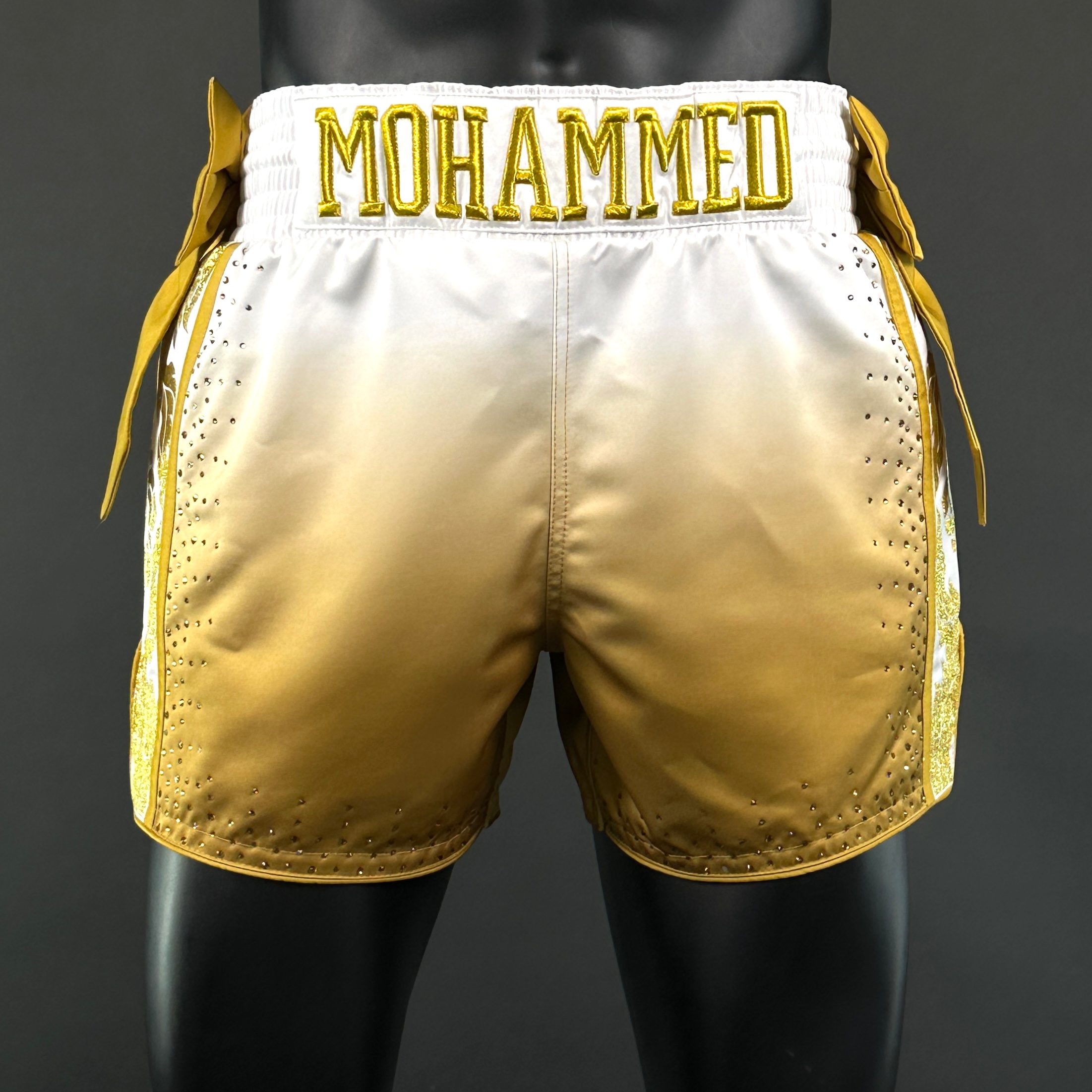 One Champ MTS Mohammed 161983 Muay Thai Shorts