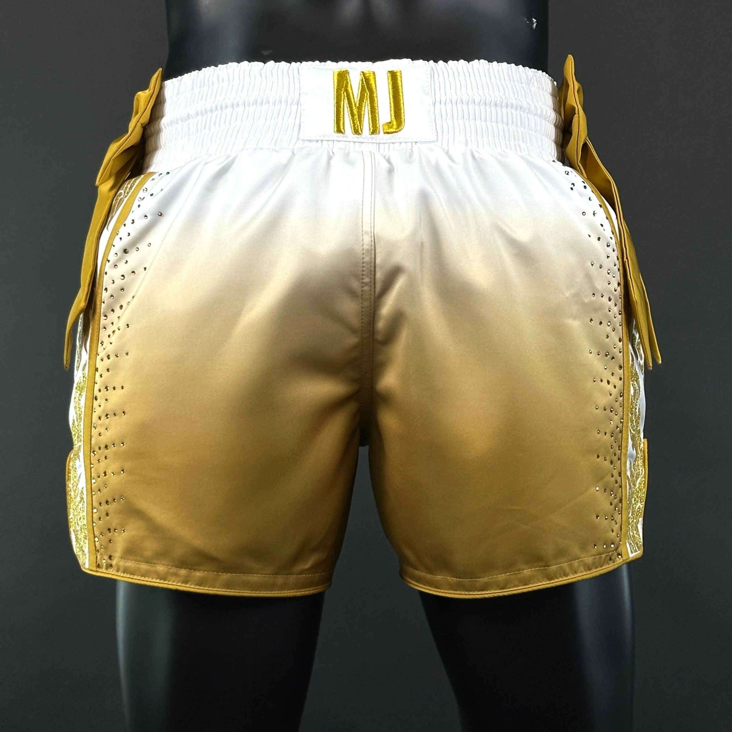 One Champ MTS Mohammed 161983 Muay Thai Shorts