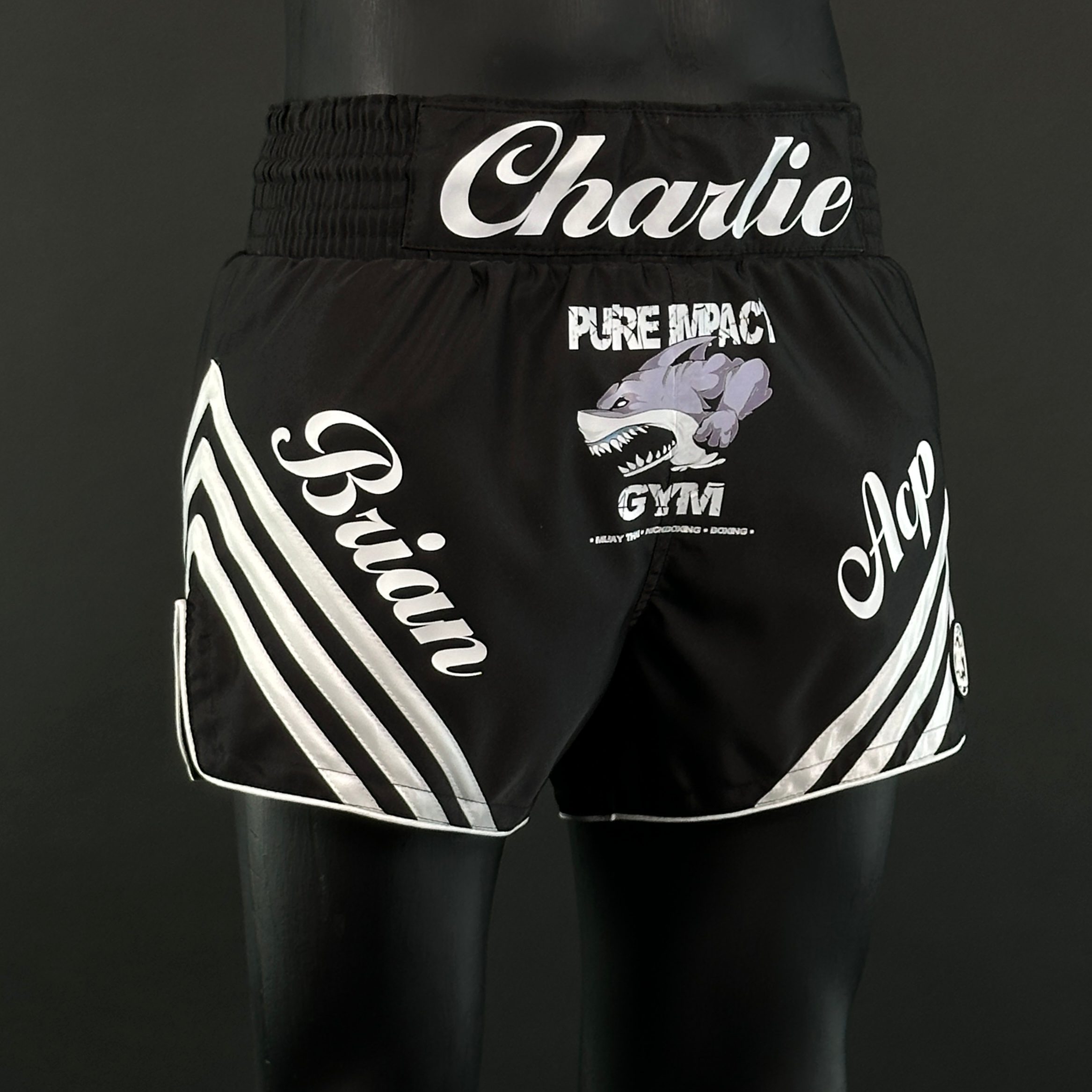 HORIZON MTS Charlie 159819 Muay Thai Shorts