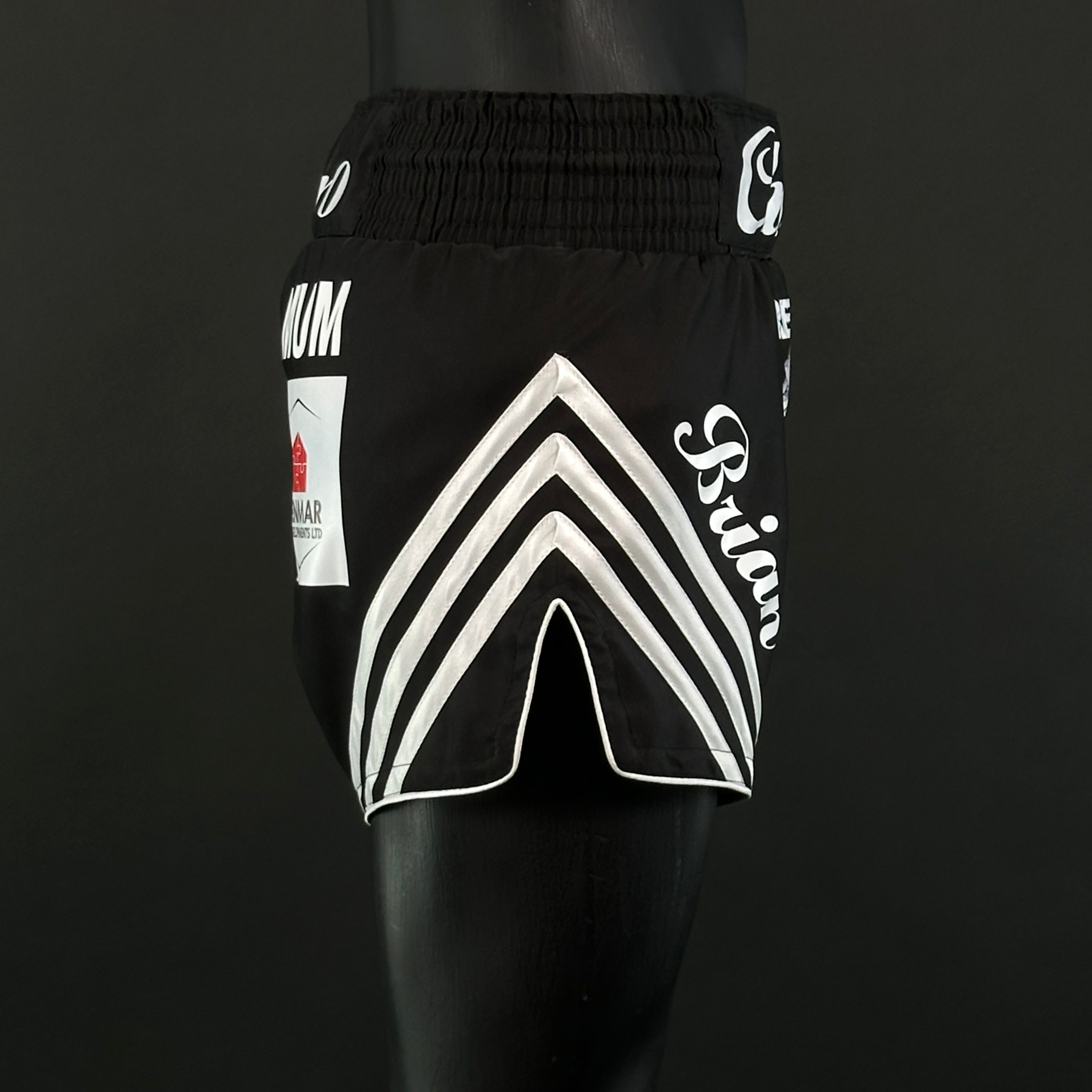 HORIZON MTS Charlie 159819 Muay Thai Shorts