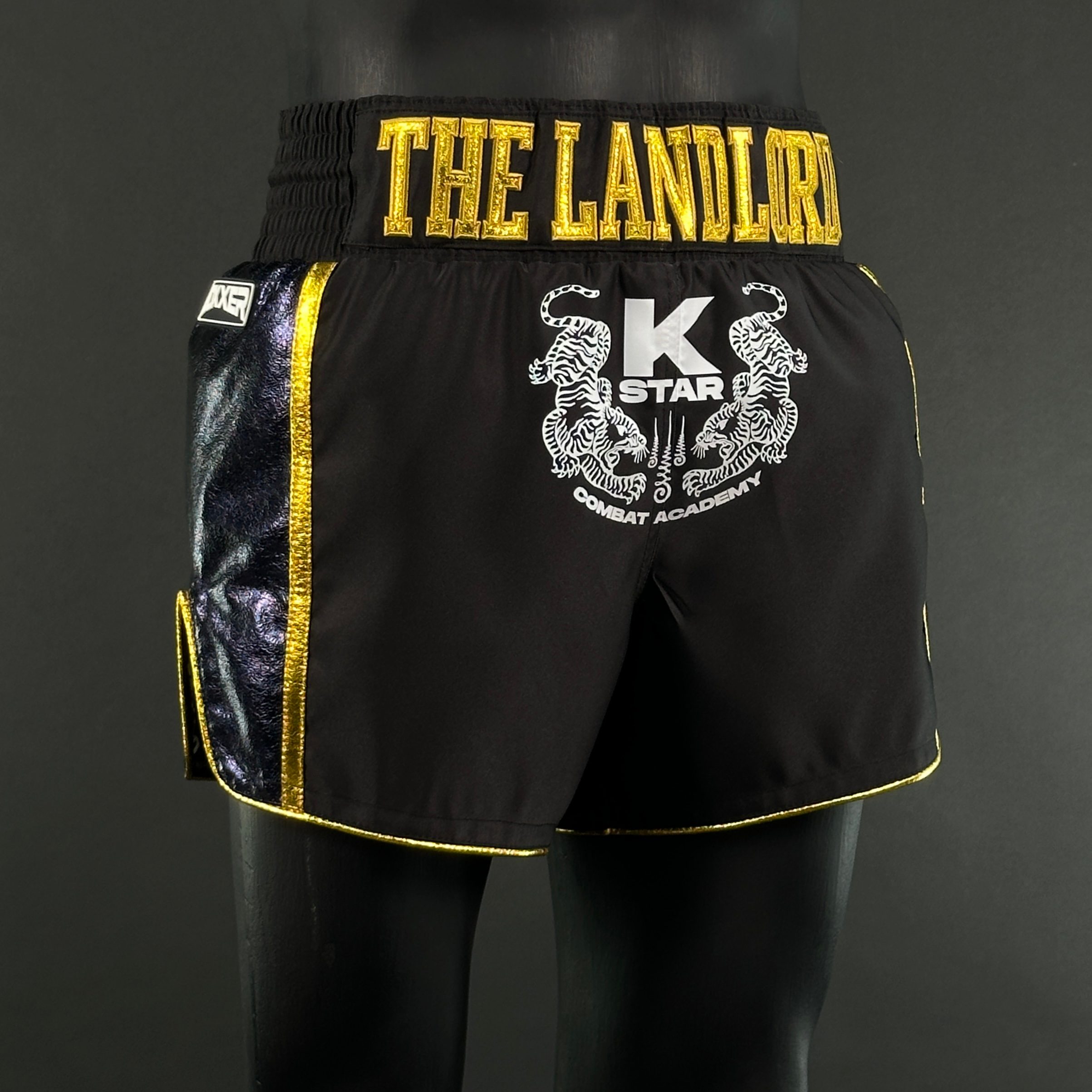 Side Stripe MTS Lawrence 160088 Muay Thai Shorts