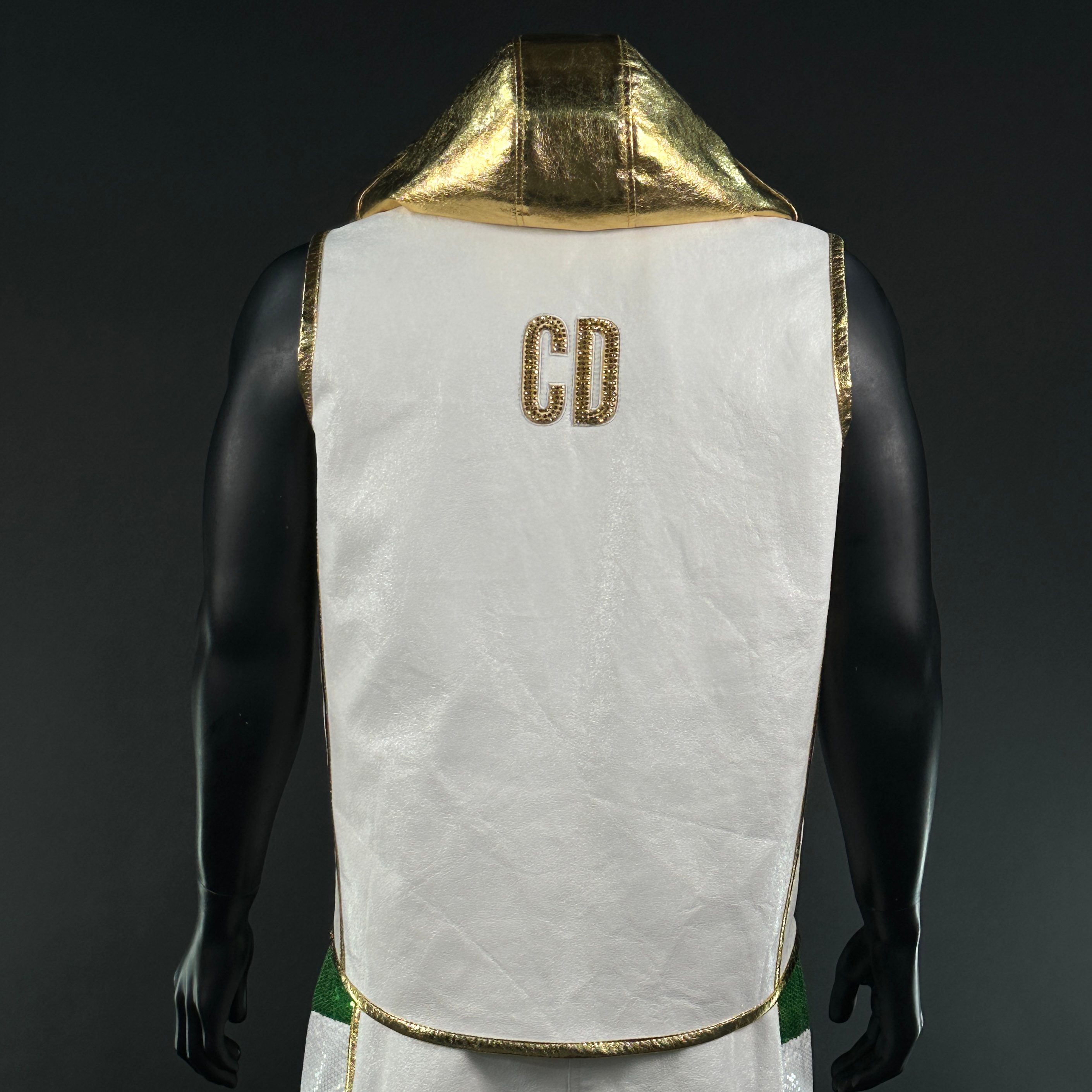 Side Stripes  Jacket  Carlo 160150 Jackets