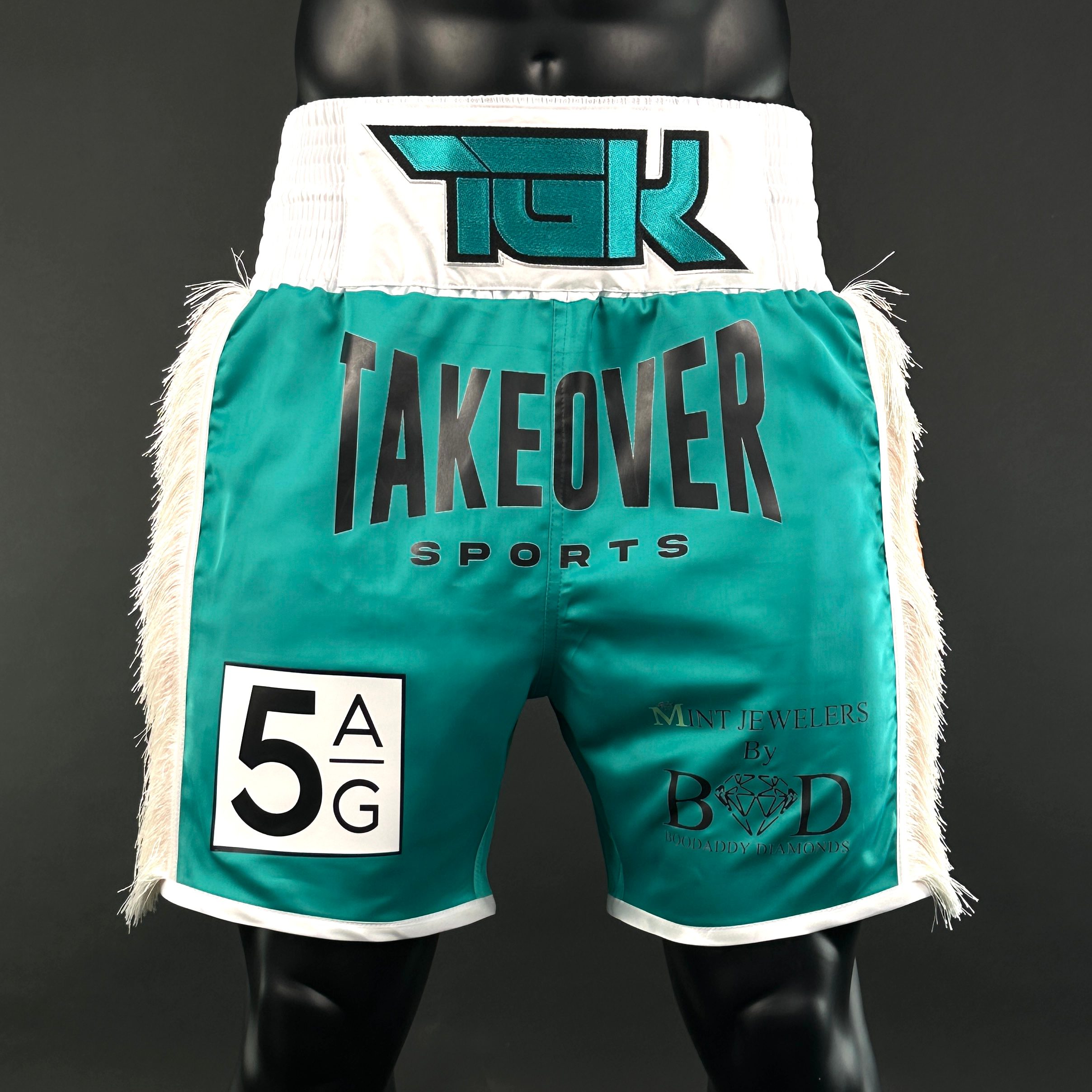 Side Stripe BX  Ryan 160289 Custom Boxing Shorts & Trunks