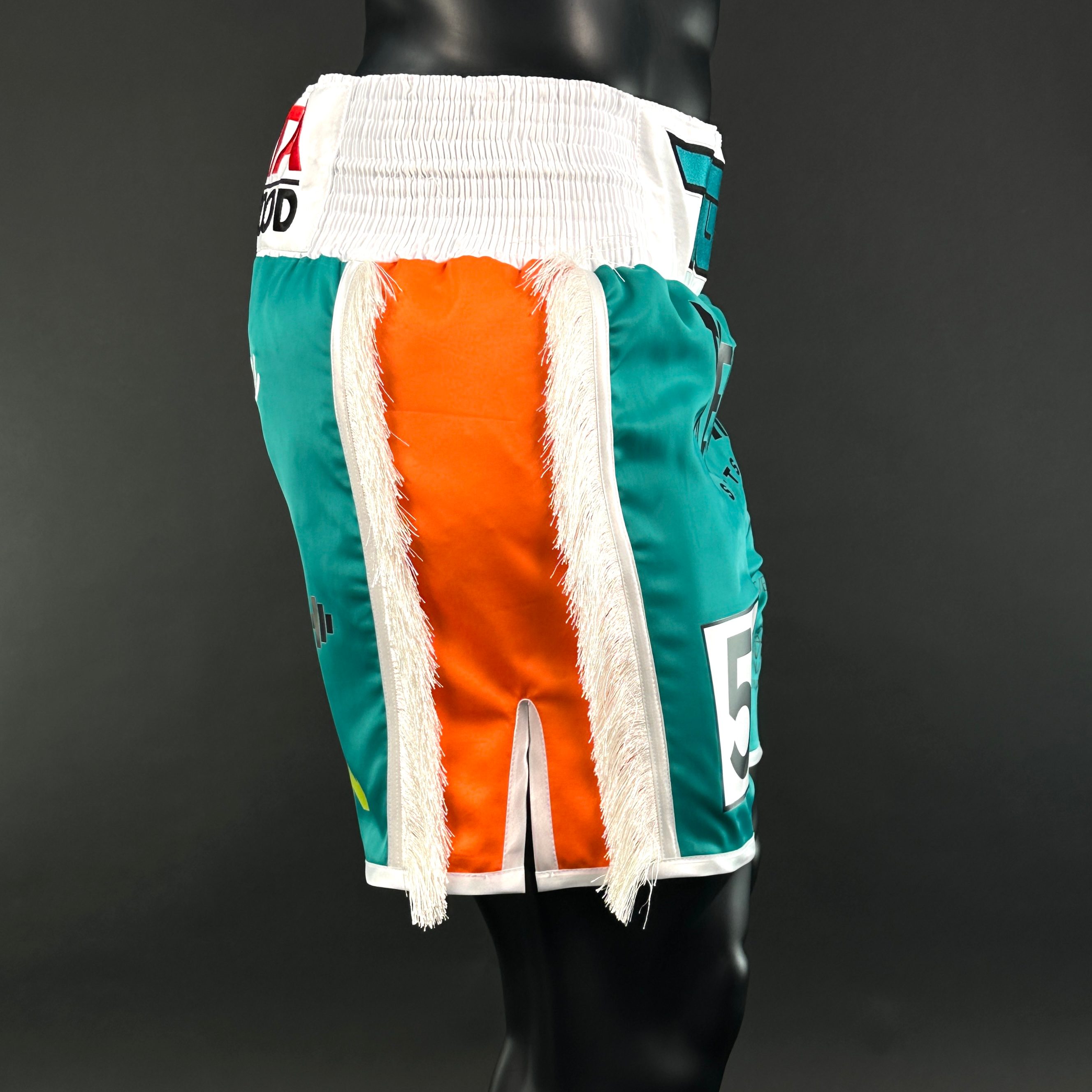 Side Stripe BX  Ryan 160289 Custom Boxing Shorts & Trunks