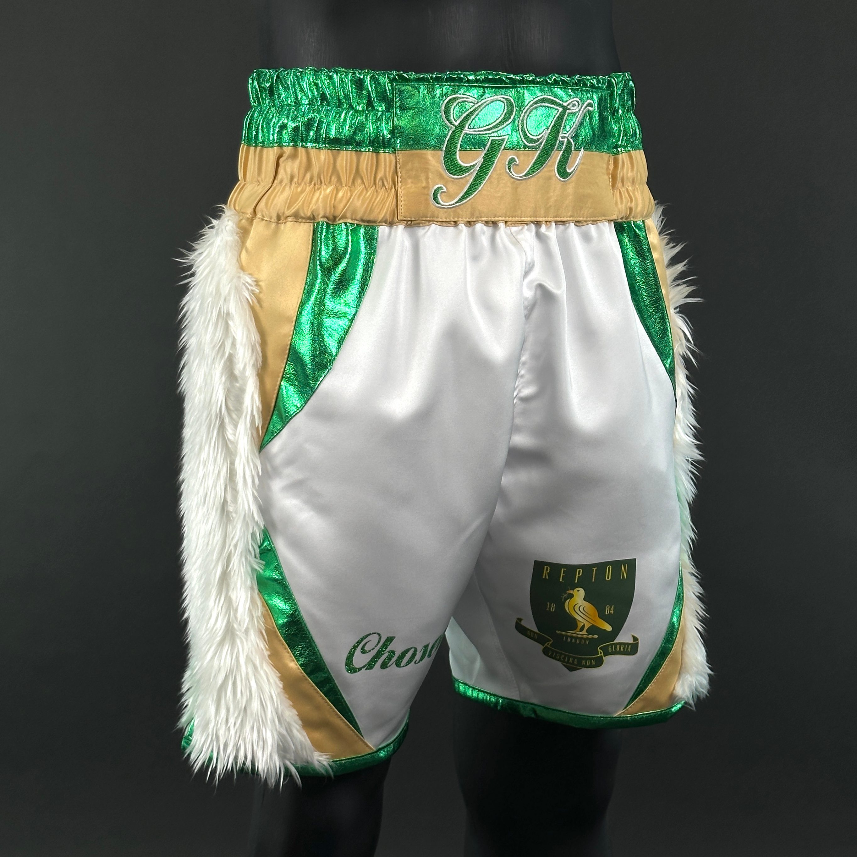 Hulk Gracjan 161729 Custom Boxing Shorts & Trunks