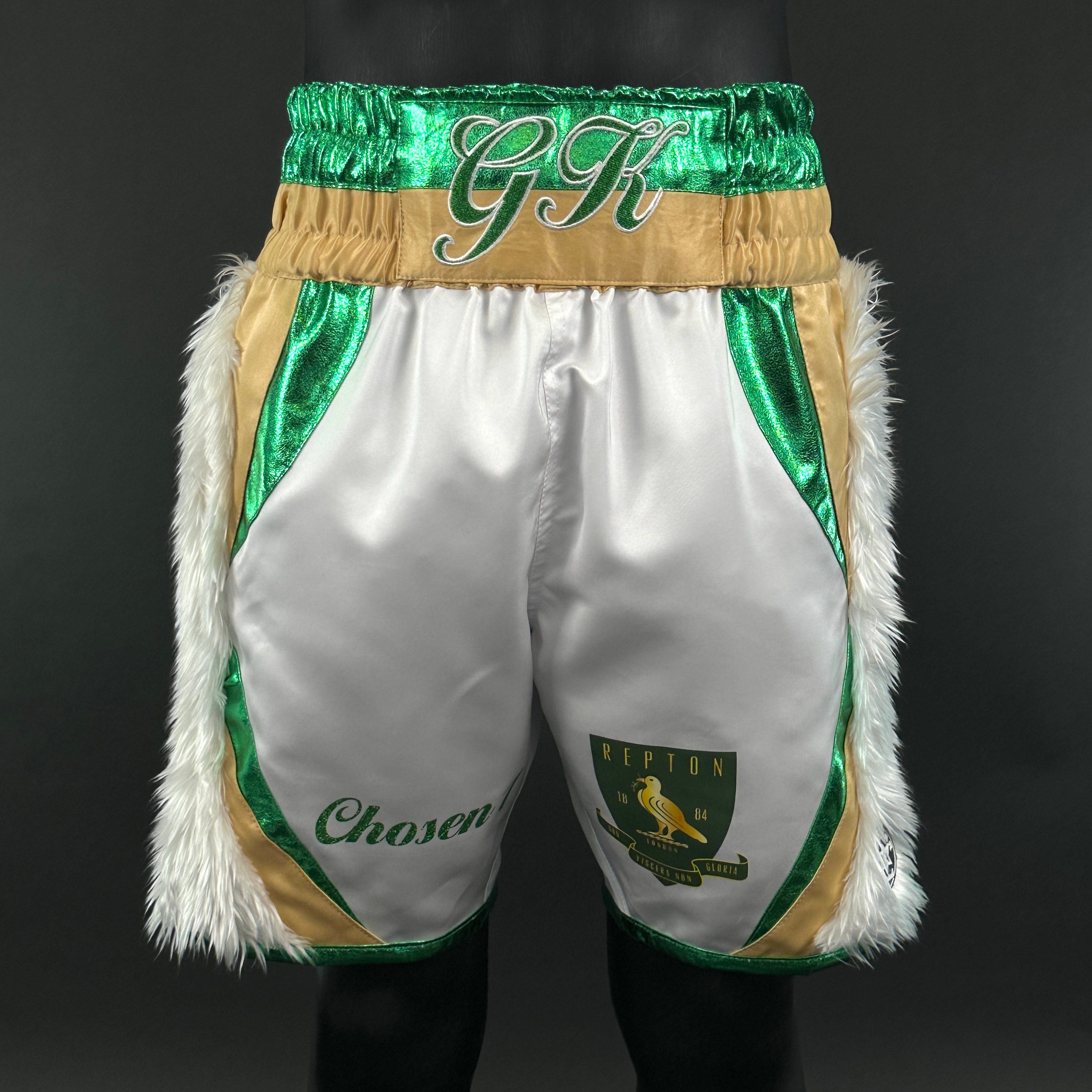 Hulk Gracjan 161729 Custom Boxing Shorts & Trunks