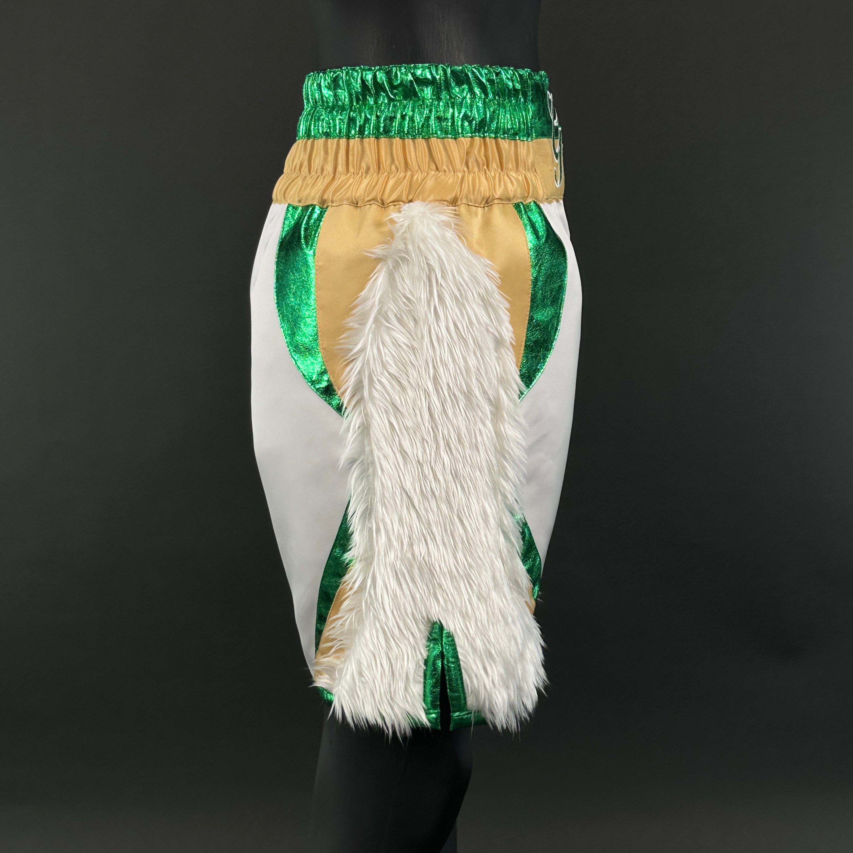 Hulk Gracjan 161729 Custom Boxing Shorts & Trunks