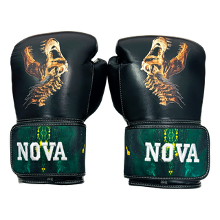 GLOVES EASY (2 colour)  David 158717  Boxing Gloves