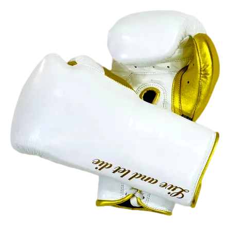 Gloves Laced / Flat Aiden 160256 Boxing Gloves