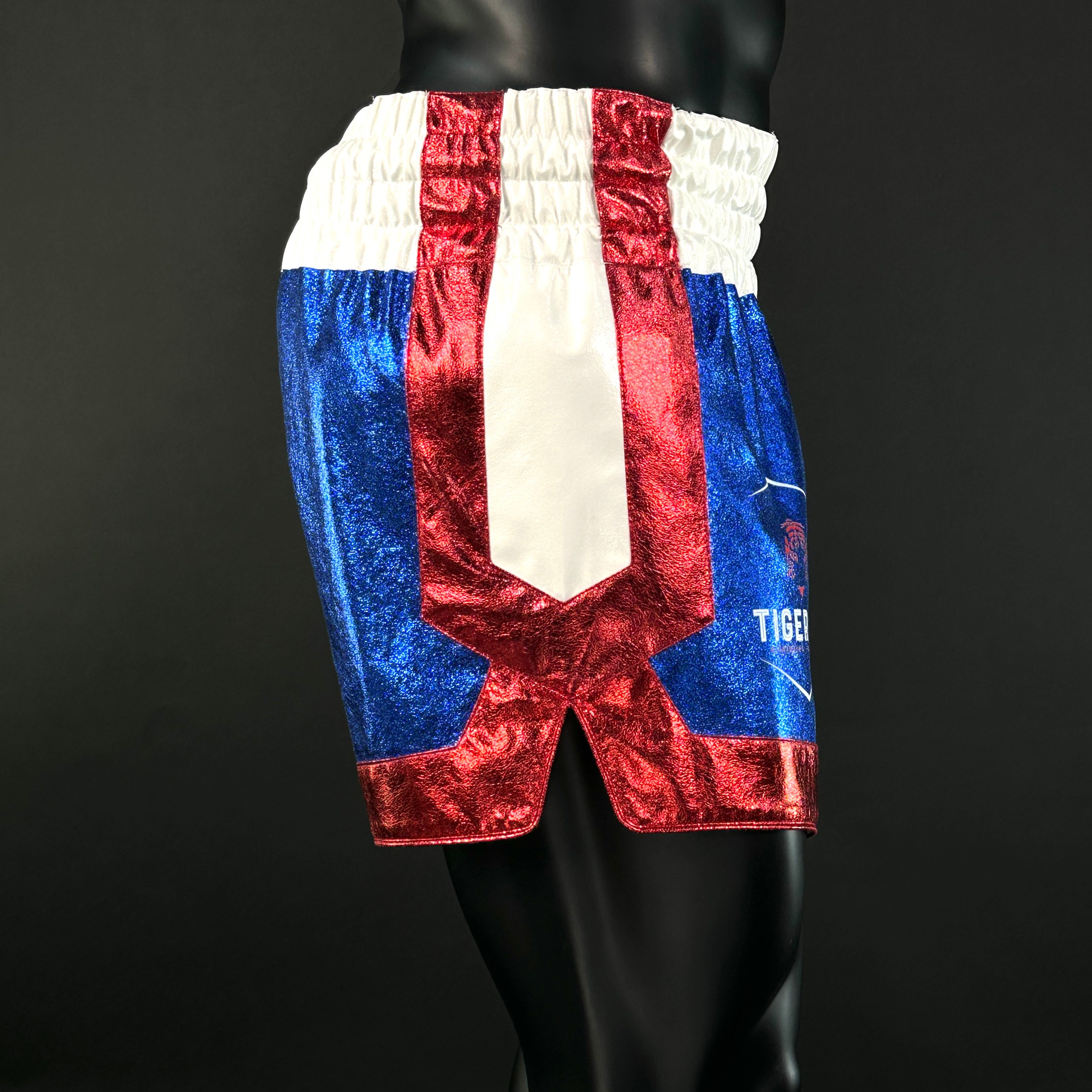 Cotto MTS Craig 161275 Muay Thai Shorts