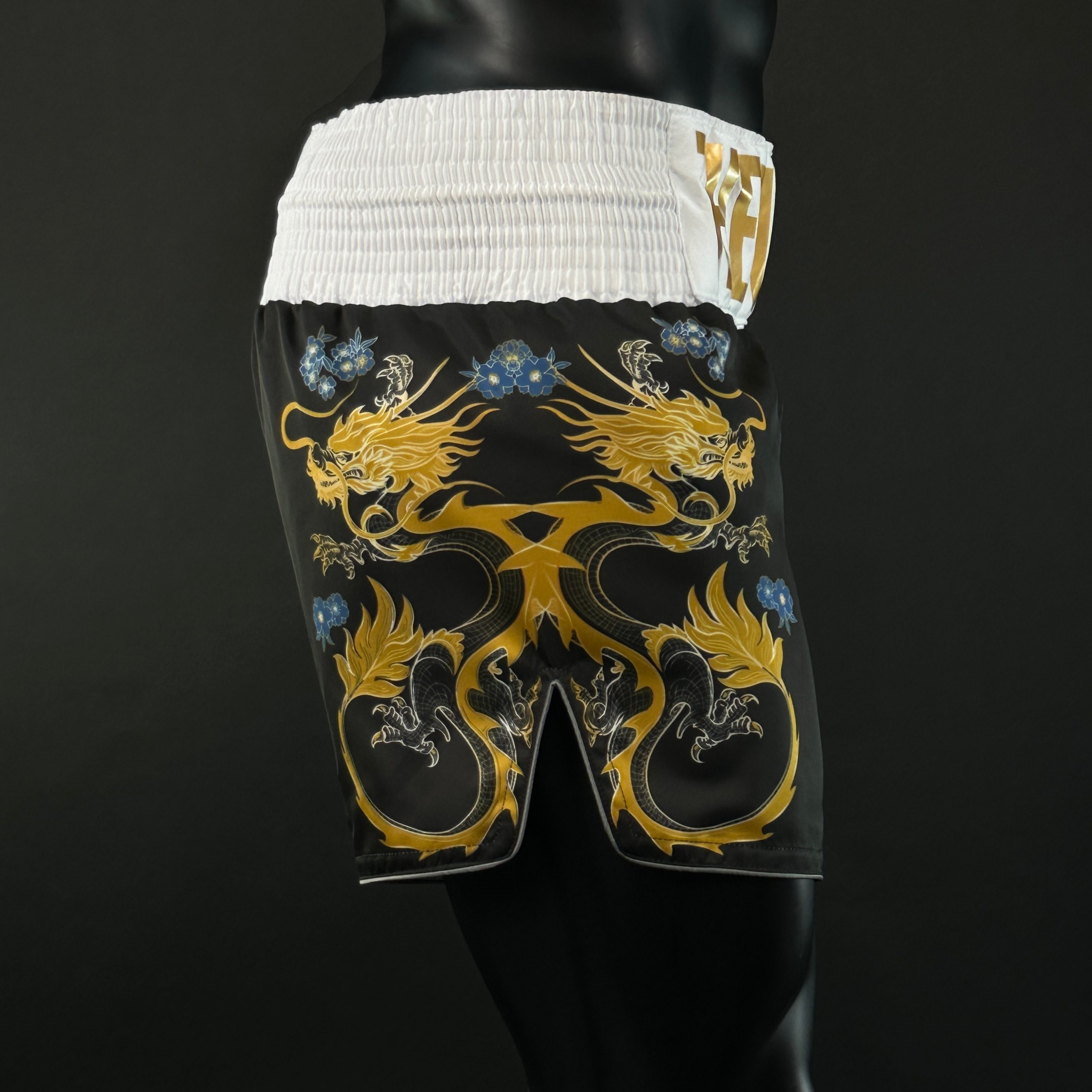 DRAGON MTS Louis 161582 Muay Thai Shorts