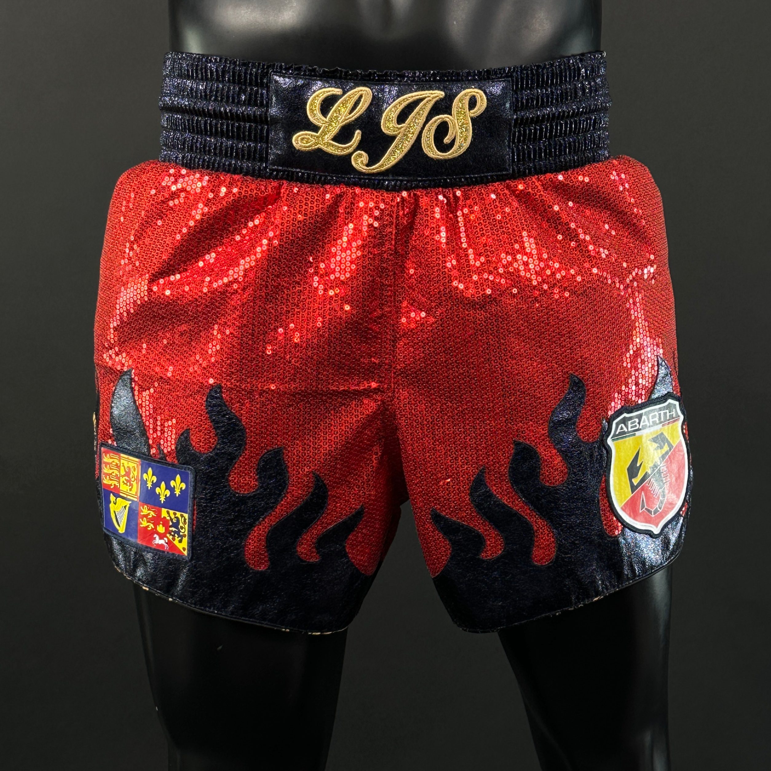 Fire MTS Louis 163991 Muay Thai Shorts