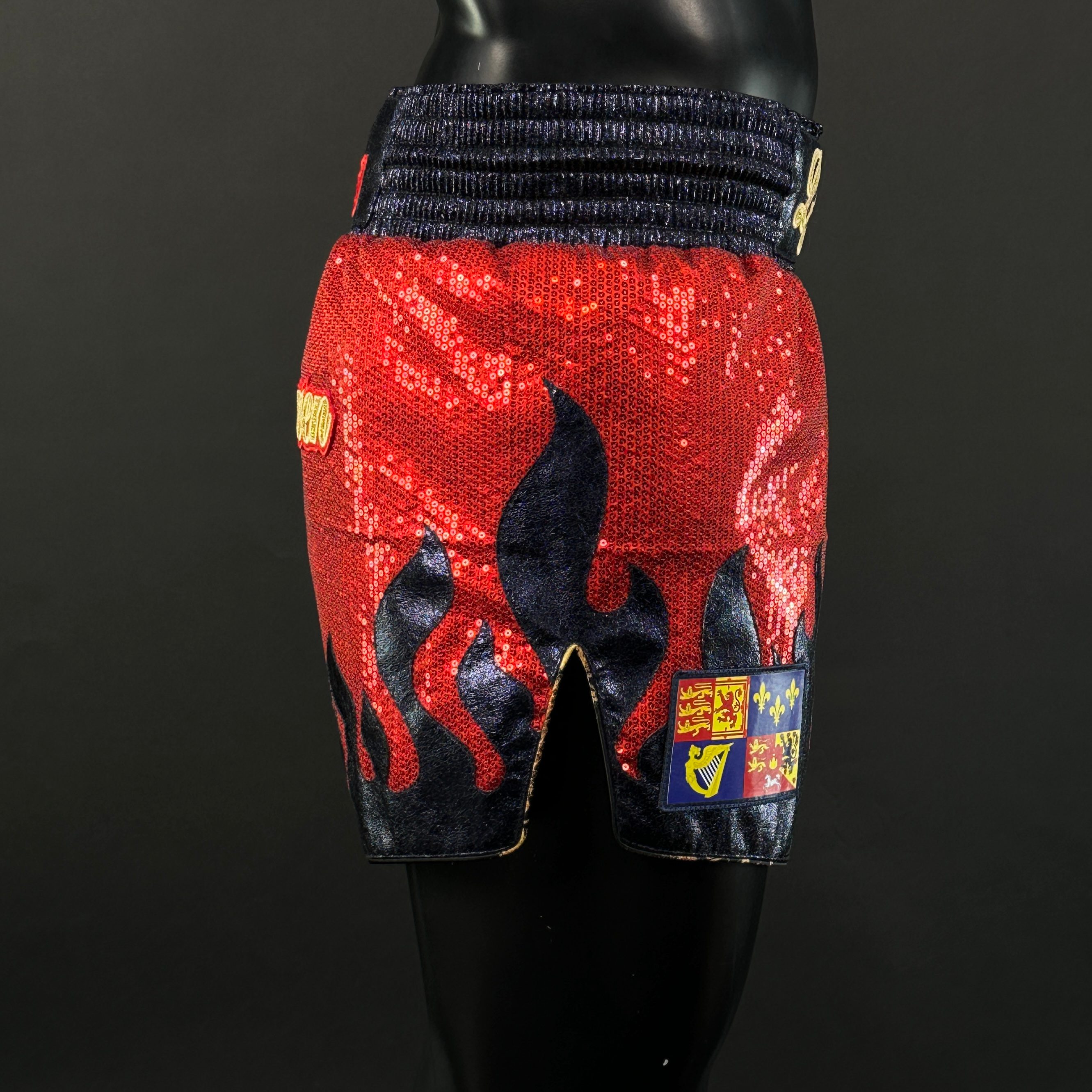 Fire MTS Louis 163991 Muay Thai Shorts