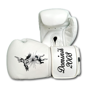 GLOVES EASY (2 colour)  Dominik 161603 Boxing Gloves