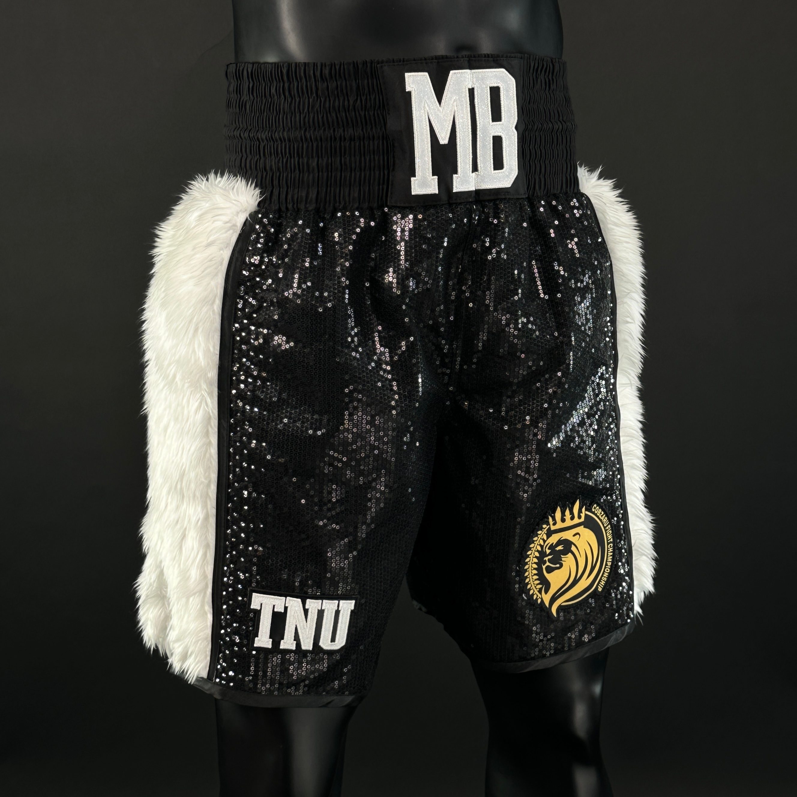 Side Stripe BX Old Ion 162768 Custom Boxing Shorts & Trunks